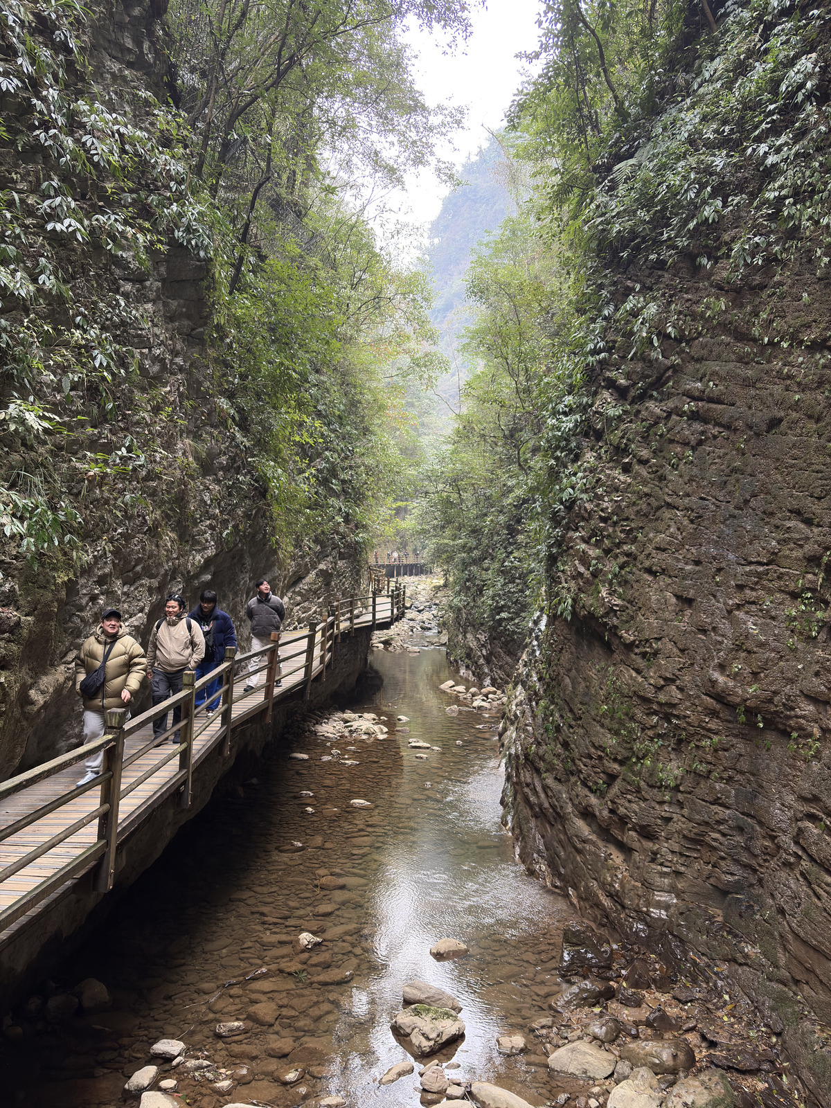 Picture China Zhangjiajie Grand Canion 2026-01 73 - Photographer Grand Canion