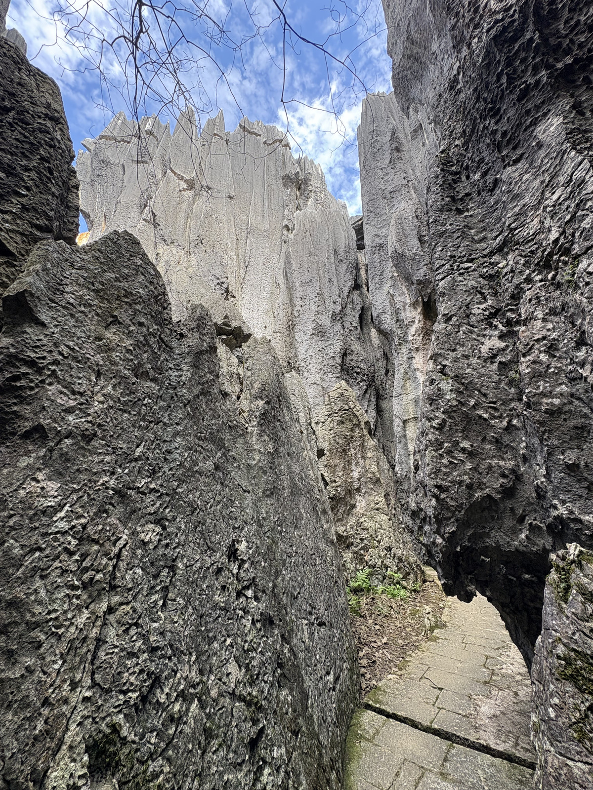 Picture China Shilin Stone Forest 2026-01 170 - Views Shilin Stone Forest