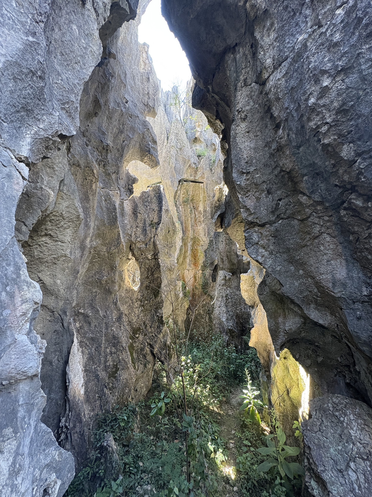 Picture China Shilin Stone Forest 2026-01 200 - Sightseeing Shilin Stone Forest