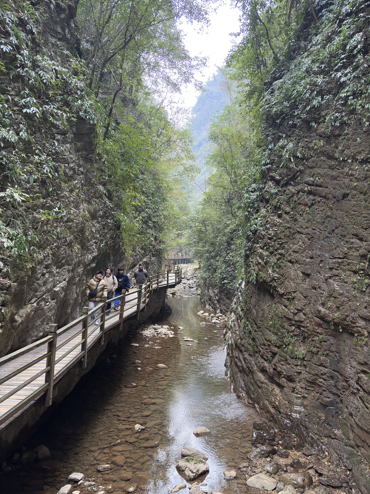 Picture China Zhangjiajie Grand Canion 2026-01 74 - Sight Grand Canion