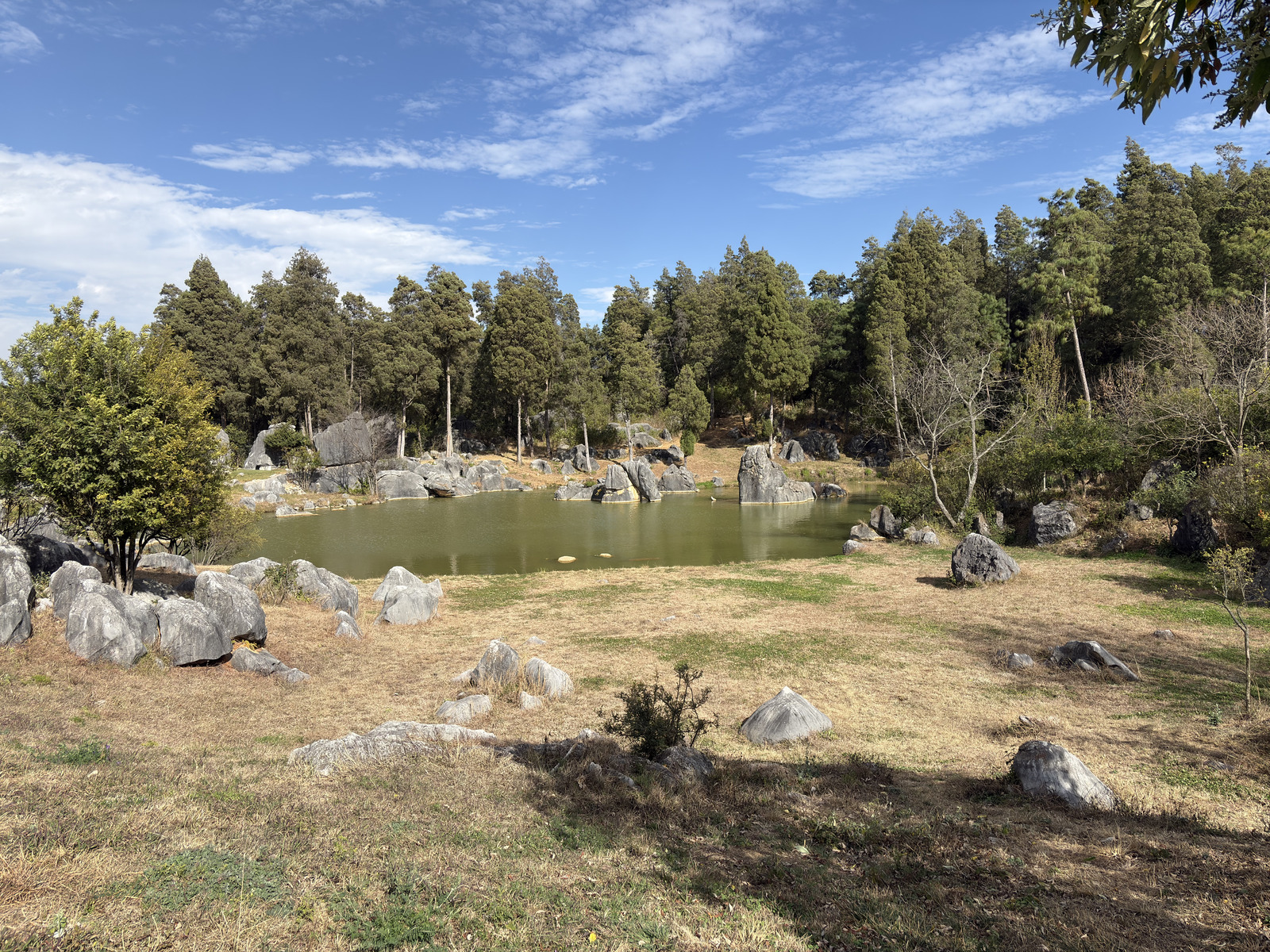 Picture China Shilin Stone Forest 2026-01 43 - Photographer Shilin Stone Forest