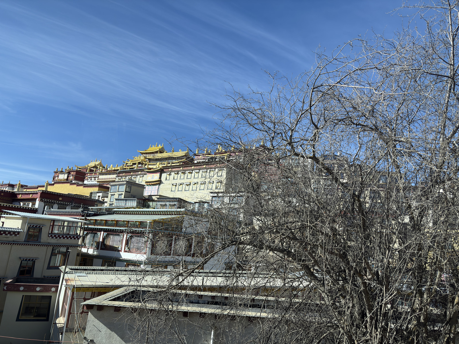 Picture China Shangri La 2026-01 386 - Trail Shangri La
