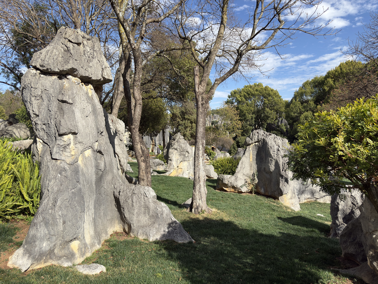 Picture China Shilin Stone Forest 2026-01 156 - Flight Shilin Stone Forest