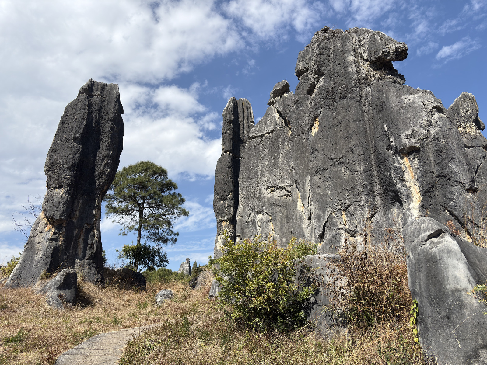 Picture China Shilin Stone Forest 2026-01 96 - Pictures Shilin Stone Forest