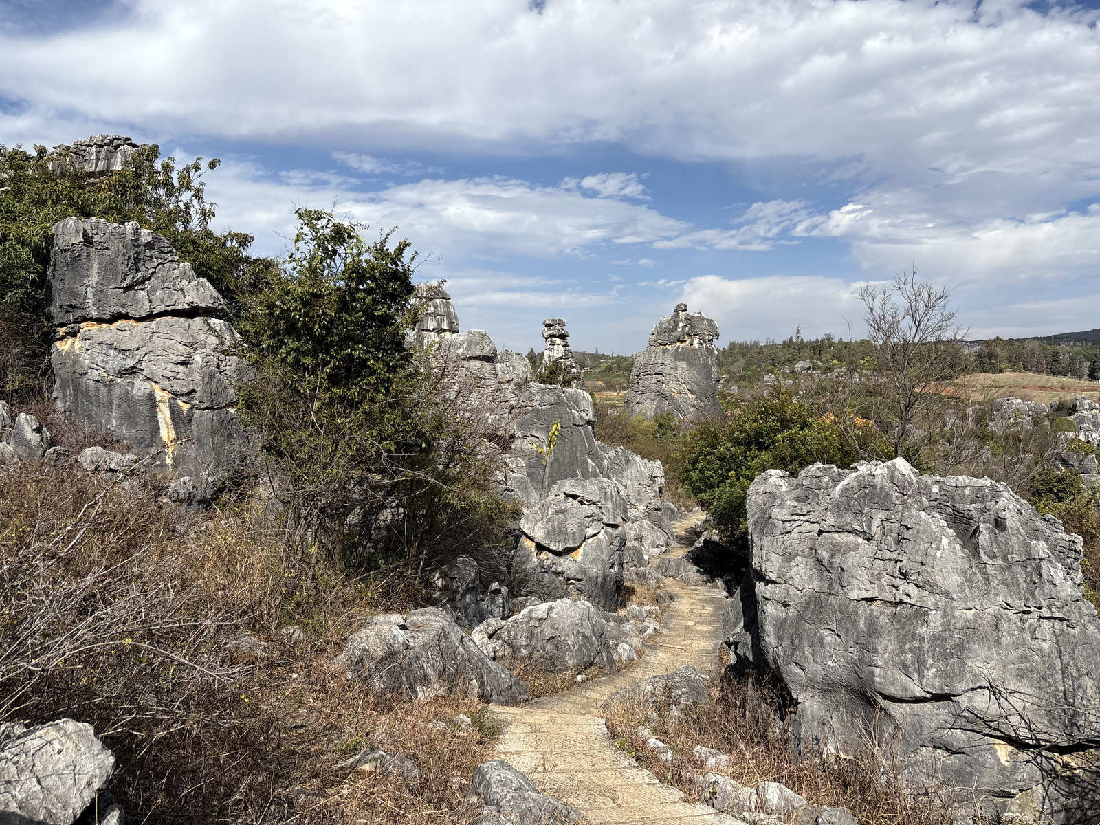 Picture China Shilin Stone Forest 2026-01 195 - Sight Shilin Stone Forest