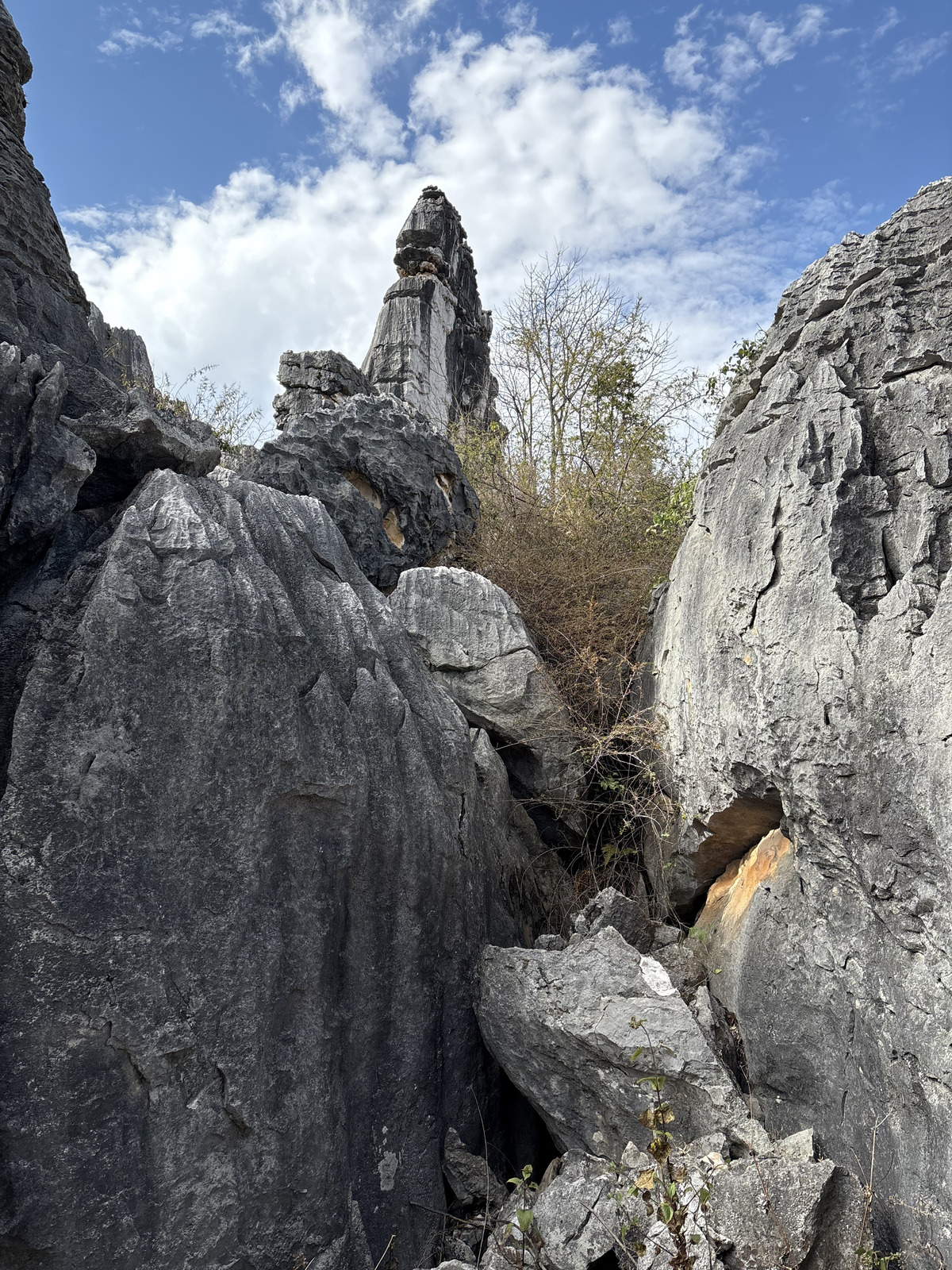 Picture China Shilin Stone Forest 2026-01 298 - Trips Shilin Stone Forest