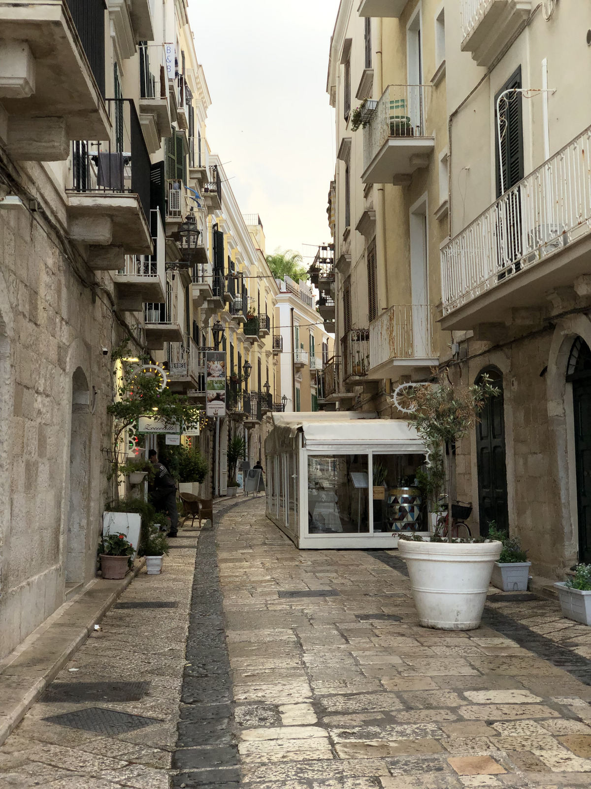 Picture Italy Trani 2024-09 17 - Tourist Trani