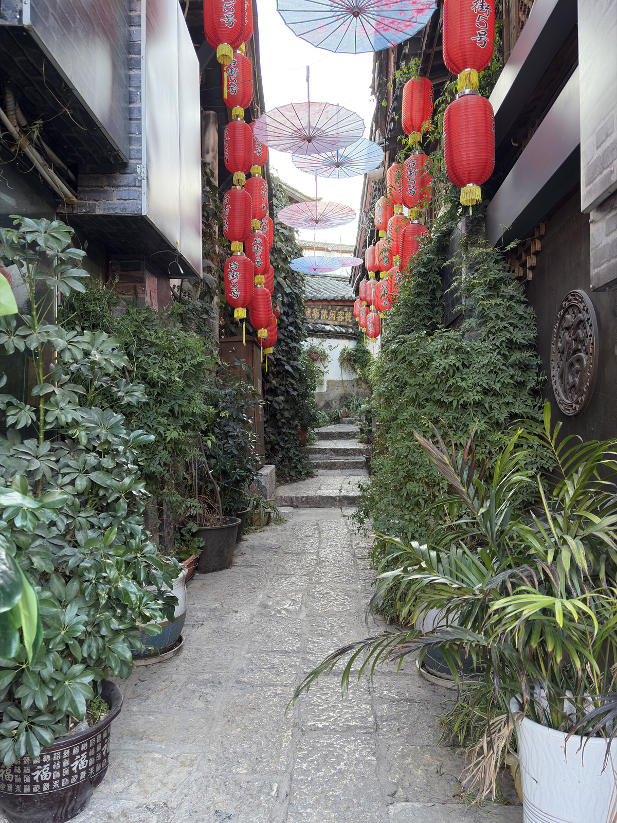 Picture China Lijiang 2026-01 369 - Trail Lijiang