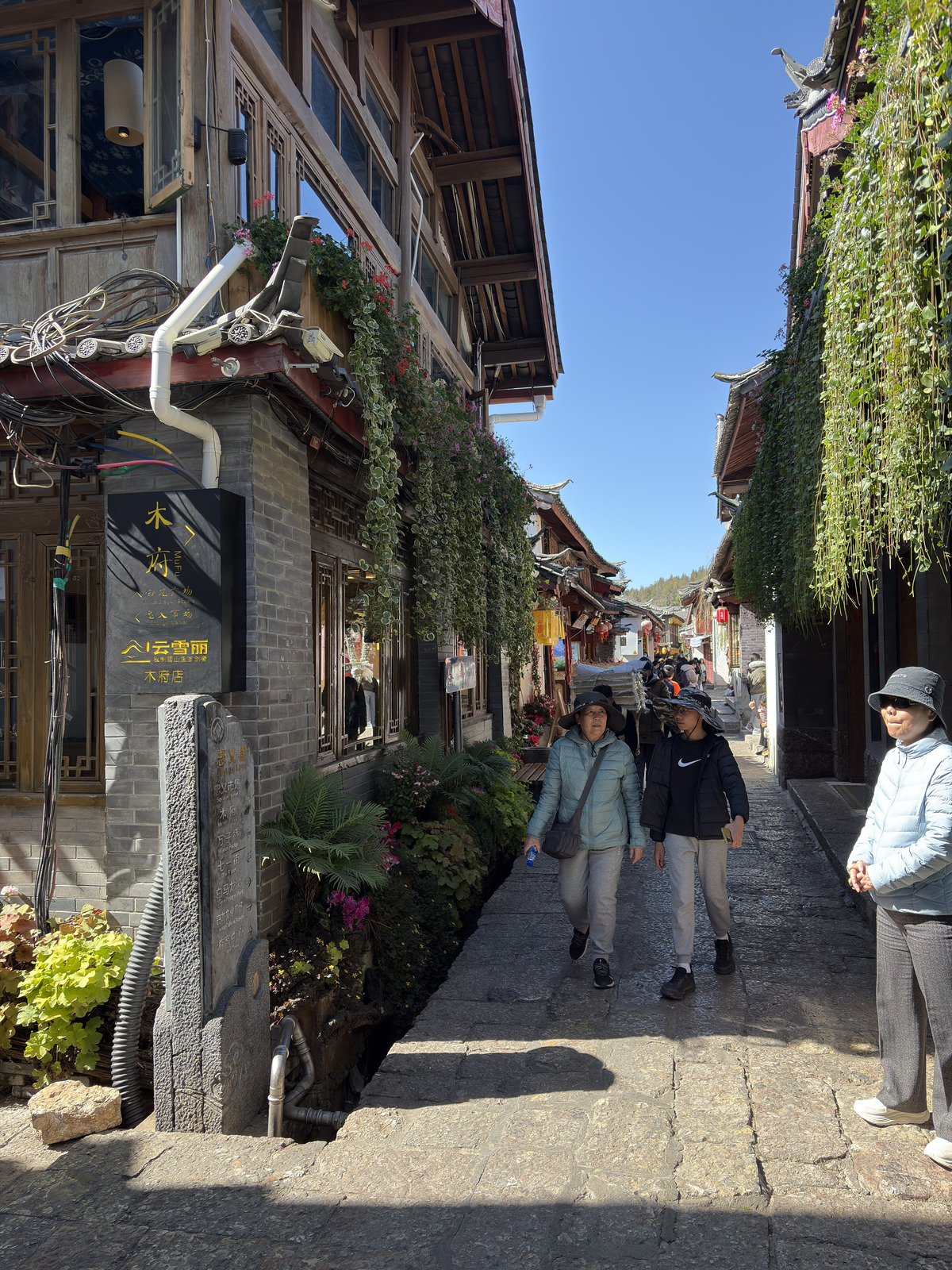 Picture China Lijiang 2026-01 370 - Randonee Lijiang