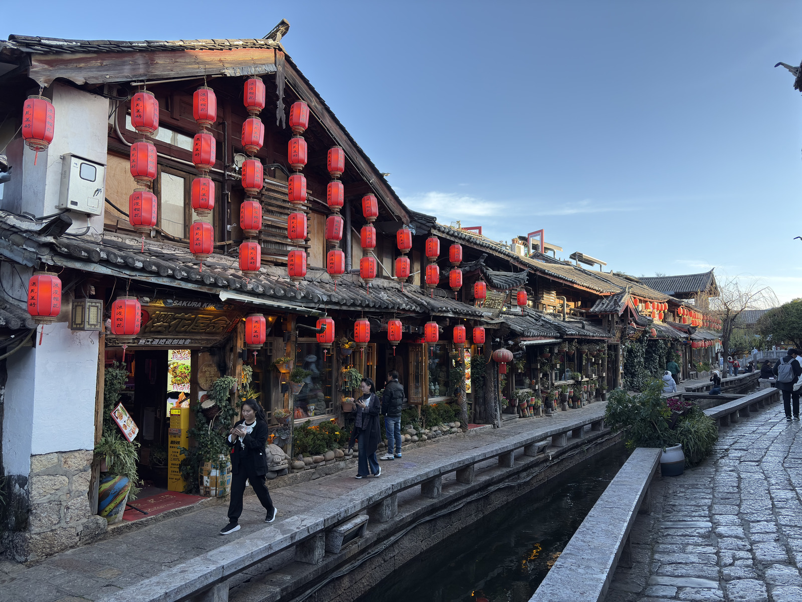 Picture China Lijiang 2026-01 528 - Sight Lijiang