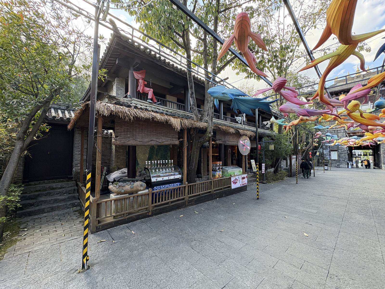 Picture China Dali Mountain 2026-01 27 - Visit Mountain