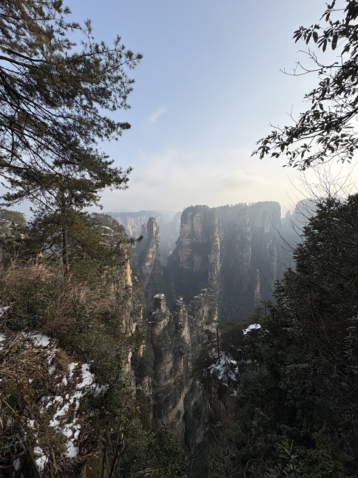 Picture China Zhangjiajie 2026-01 46 - Pictures Zhangjiajie