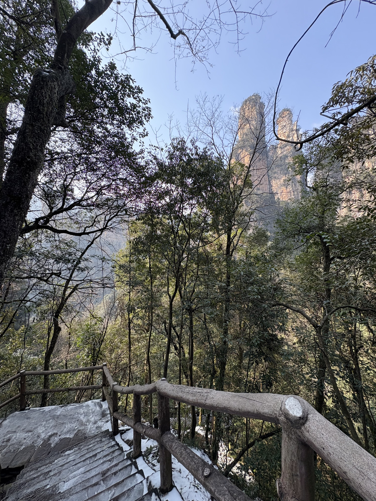 Picture China Zhangjiajie Tianzi Mountrain 2026-01 63 - View Tianzi Mountrain