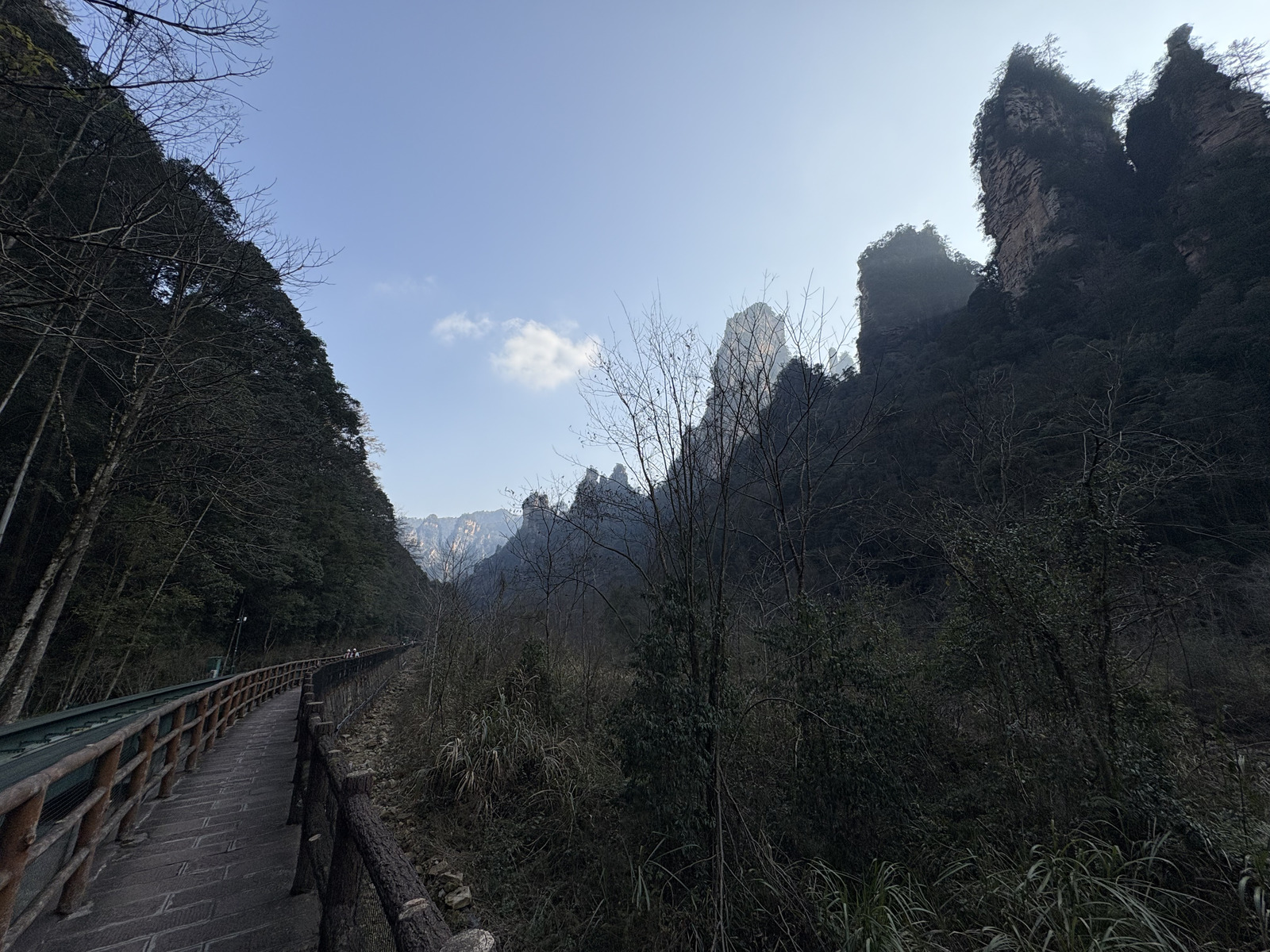 Picture China Zhangjiajie Tianzi Mountrain 2026-01 347 - Tourist Attraction Tianzi Mountrain