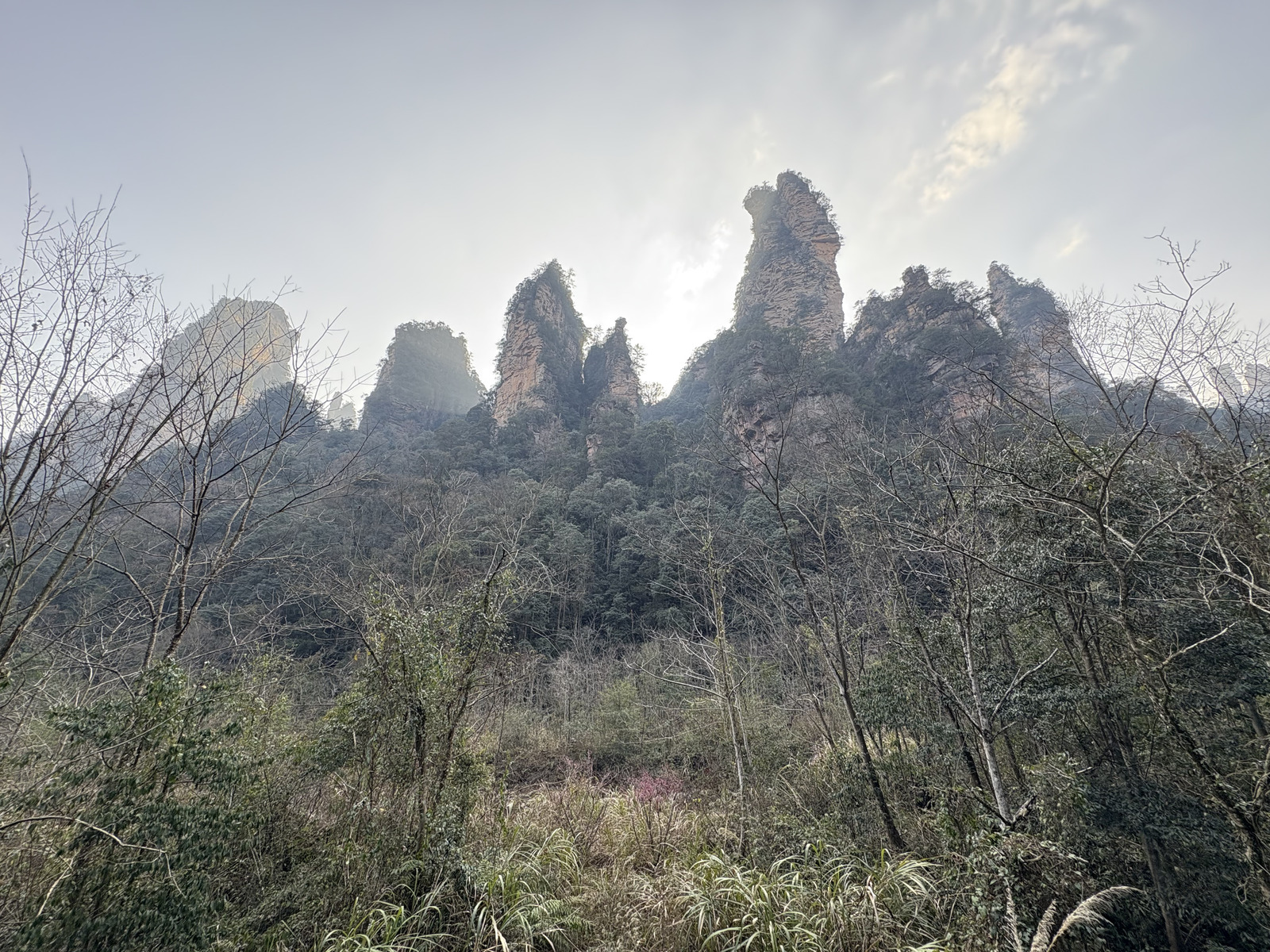 Picture China Zhangjiajie Tianzi Mountrain 2026-01 97 - Sightseeing Tianzi Mountrain