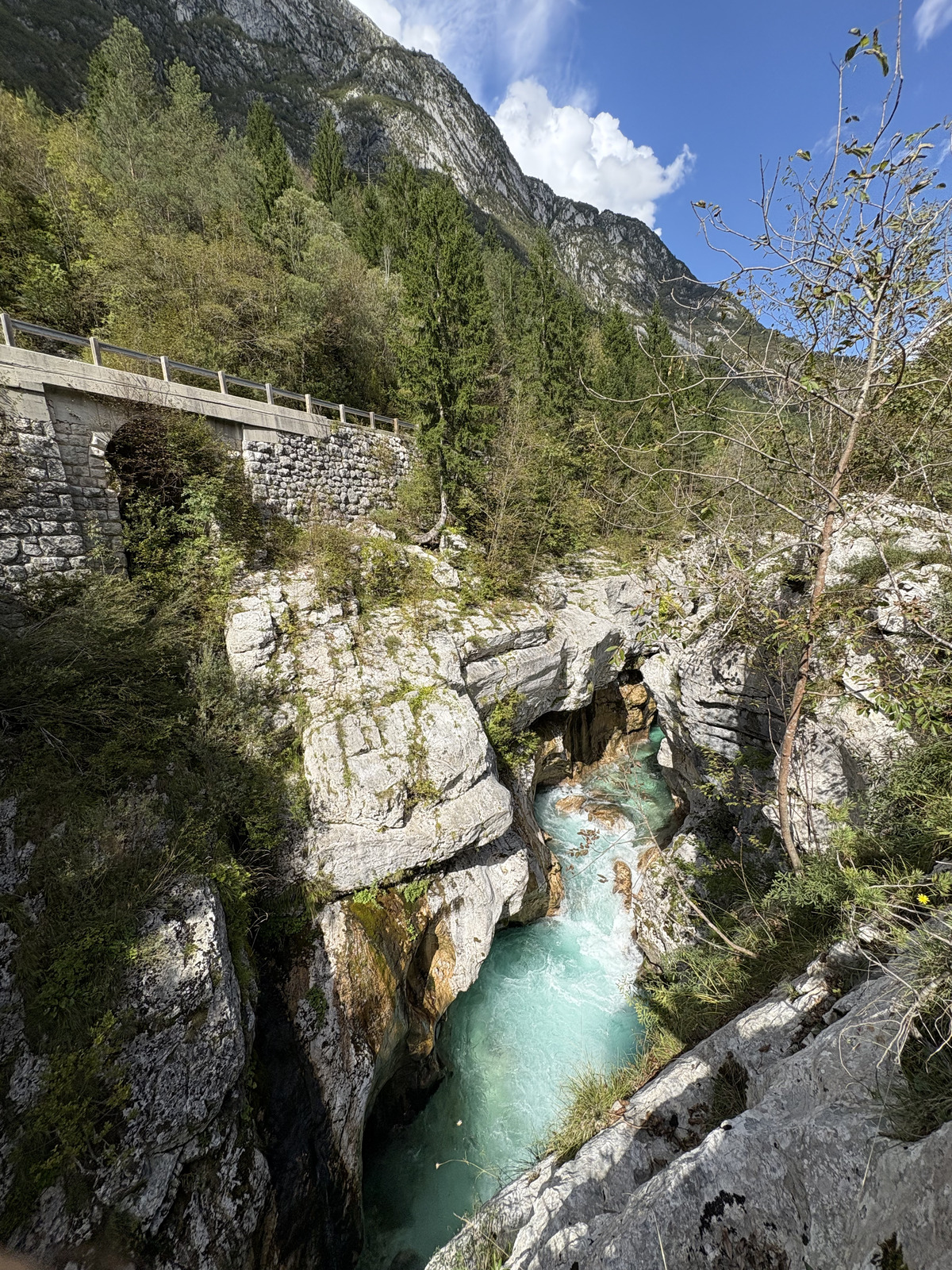 Picture Slovenia Soca River 2025-09 242 - Discover Soca River