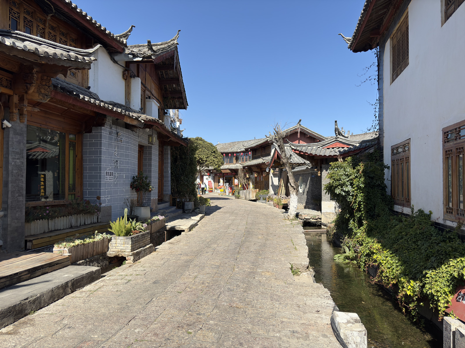 Picture China Lijiang 2026-01 641 - Tourist Lijiang