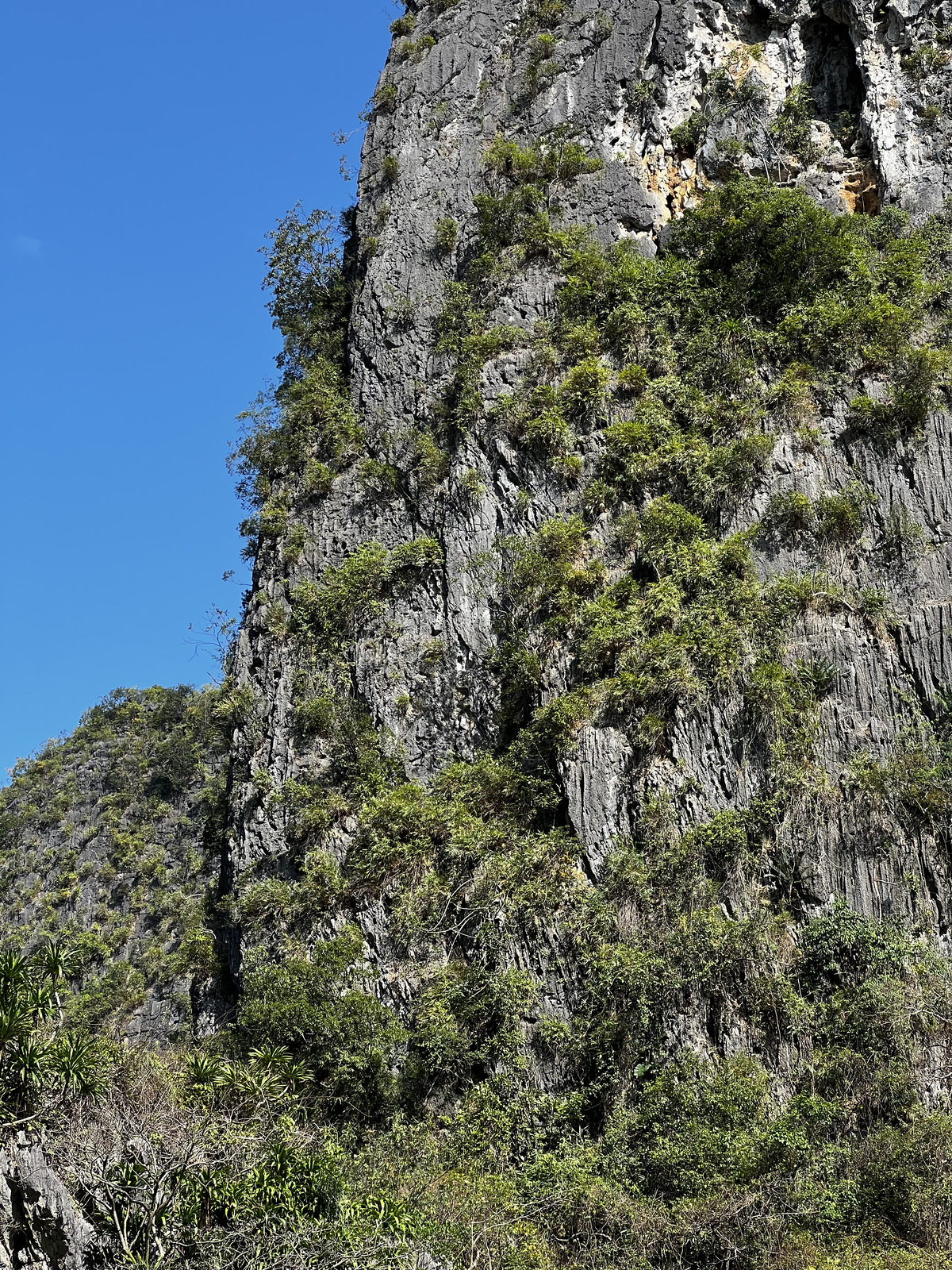 Picture Vietnam Ha Long Bay 2024-01 147 - Tourist Ha Long Bay