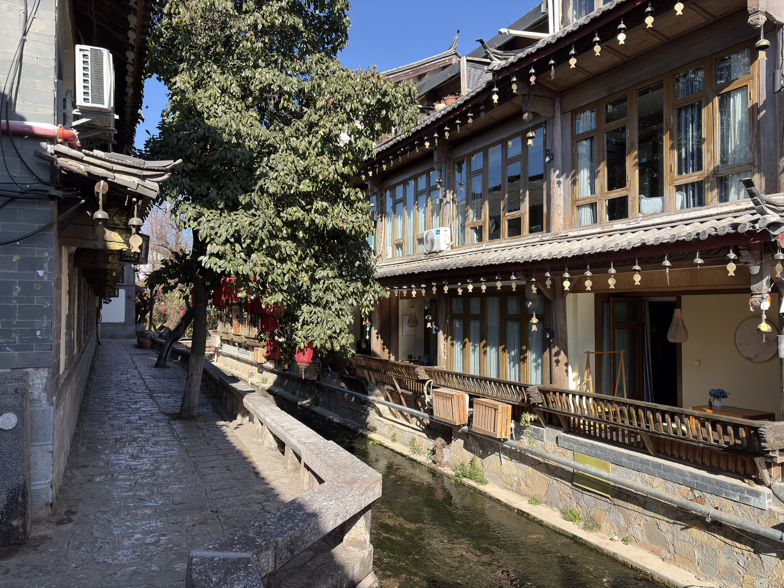 Picture China Lijiang 2026-01 477 - Photographer Lijiang