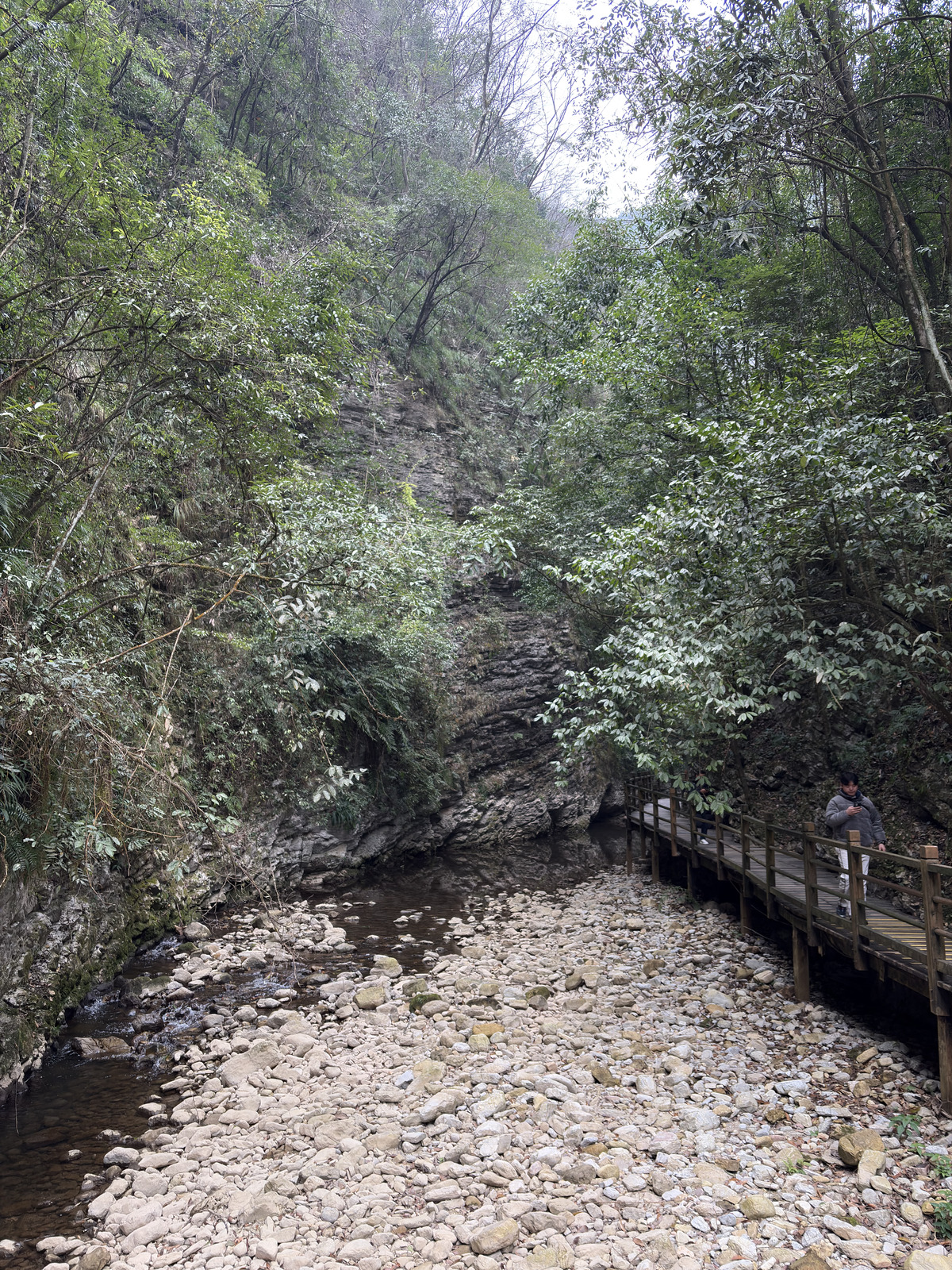 Picture China Zhangjiajie Grand Canion 2026-01 34 - Pictures Grand Canion