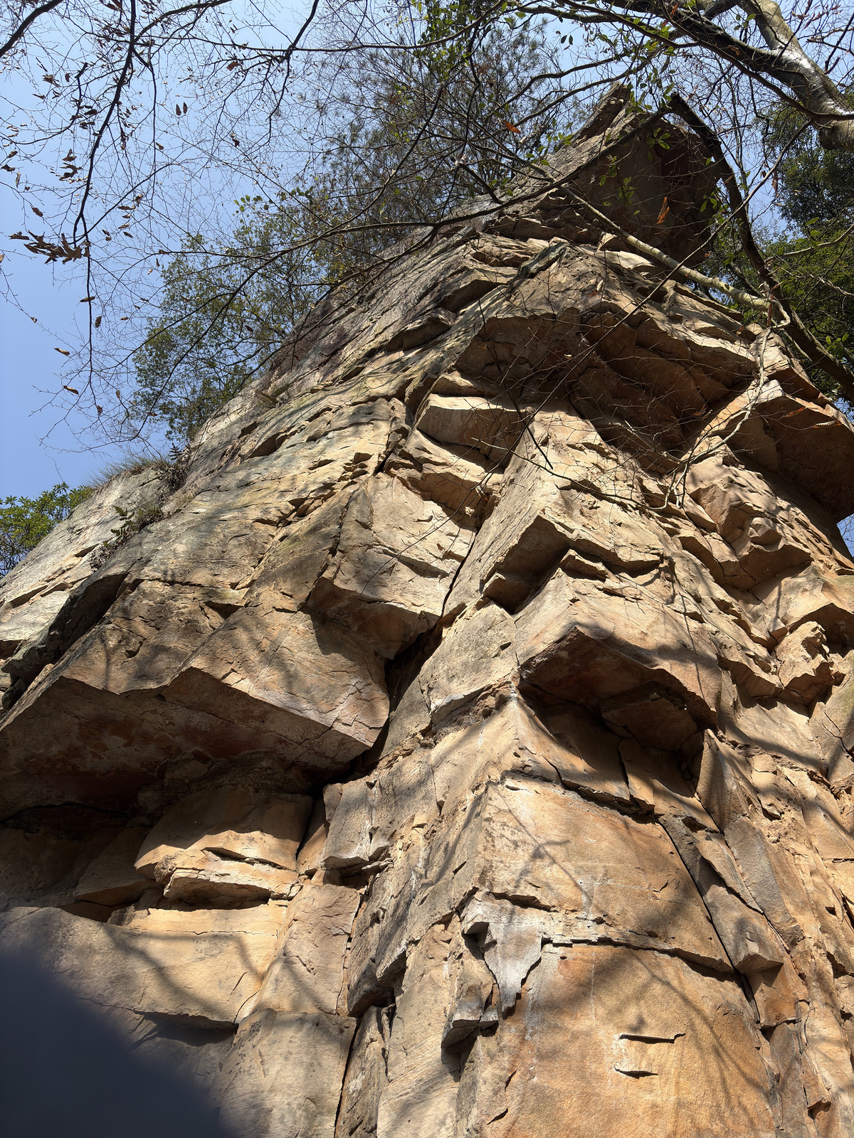 Picture China Zhangjiajie Tianzi Mountrain 2026-01 251 - Tourist Places Tianzi Mountrain