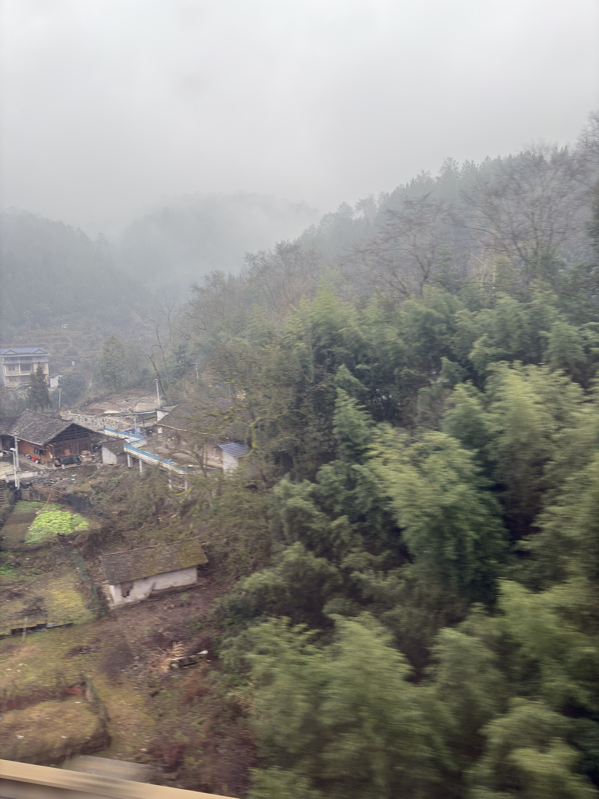 Picture China train 2026-01 16 - Sightseeing train