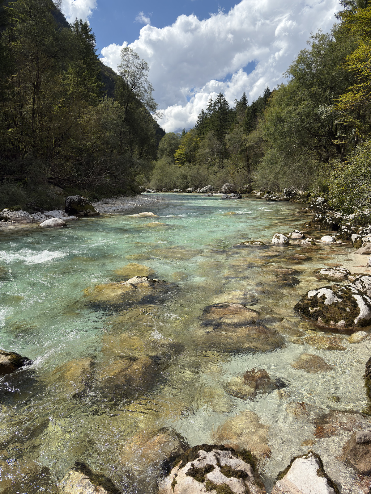 Picture Slovenia Soca River 2025-09 98 - Discover Soca River