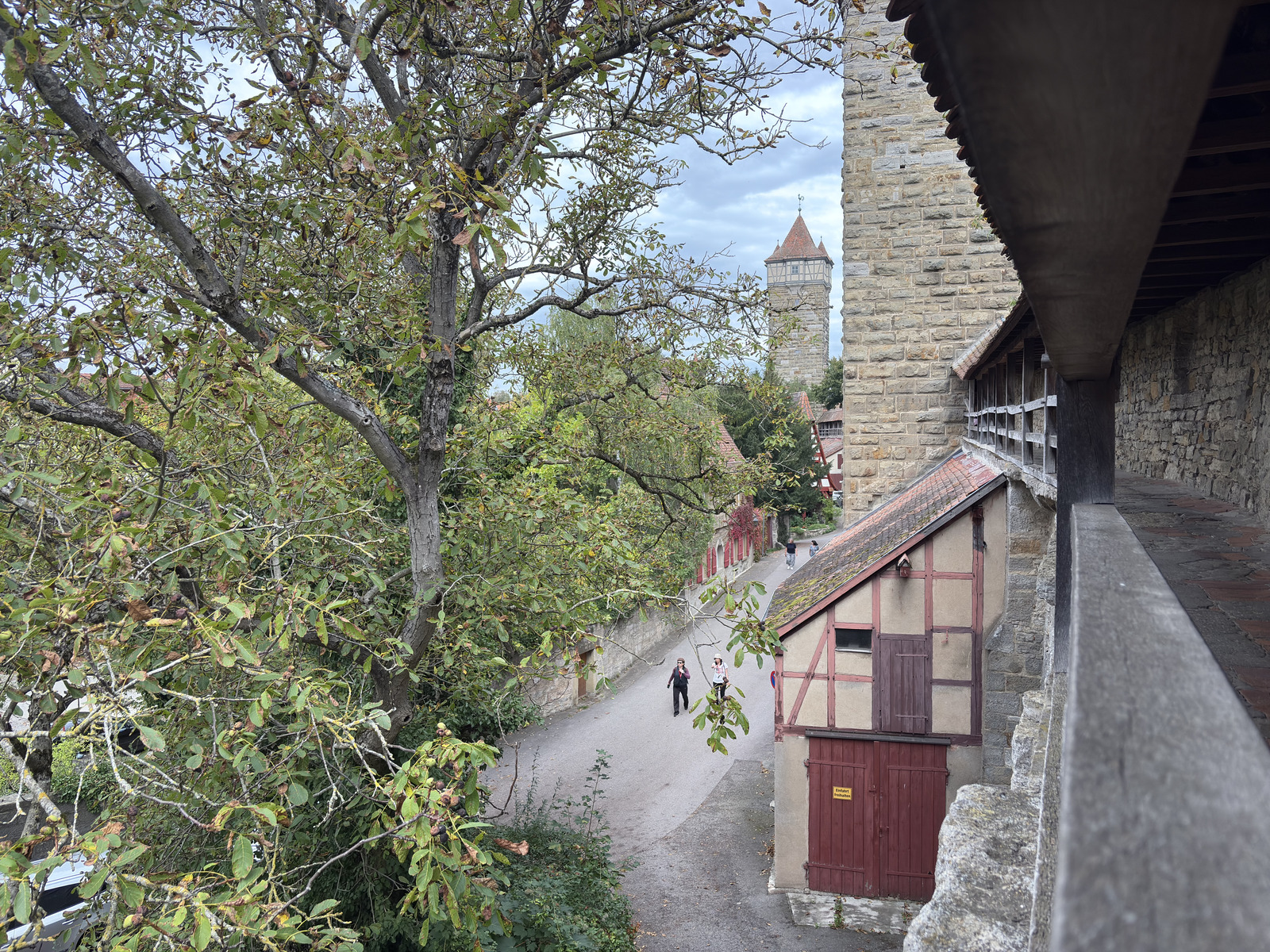 Picture Germany Rothenburg ob der Tauber⁩ 2025-09 133 - Store Rothenburg ob der Tauber⁩