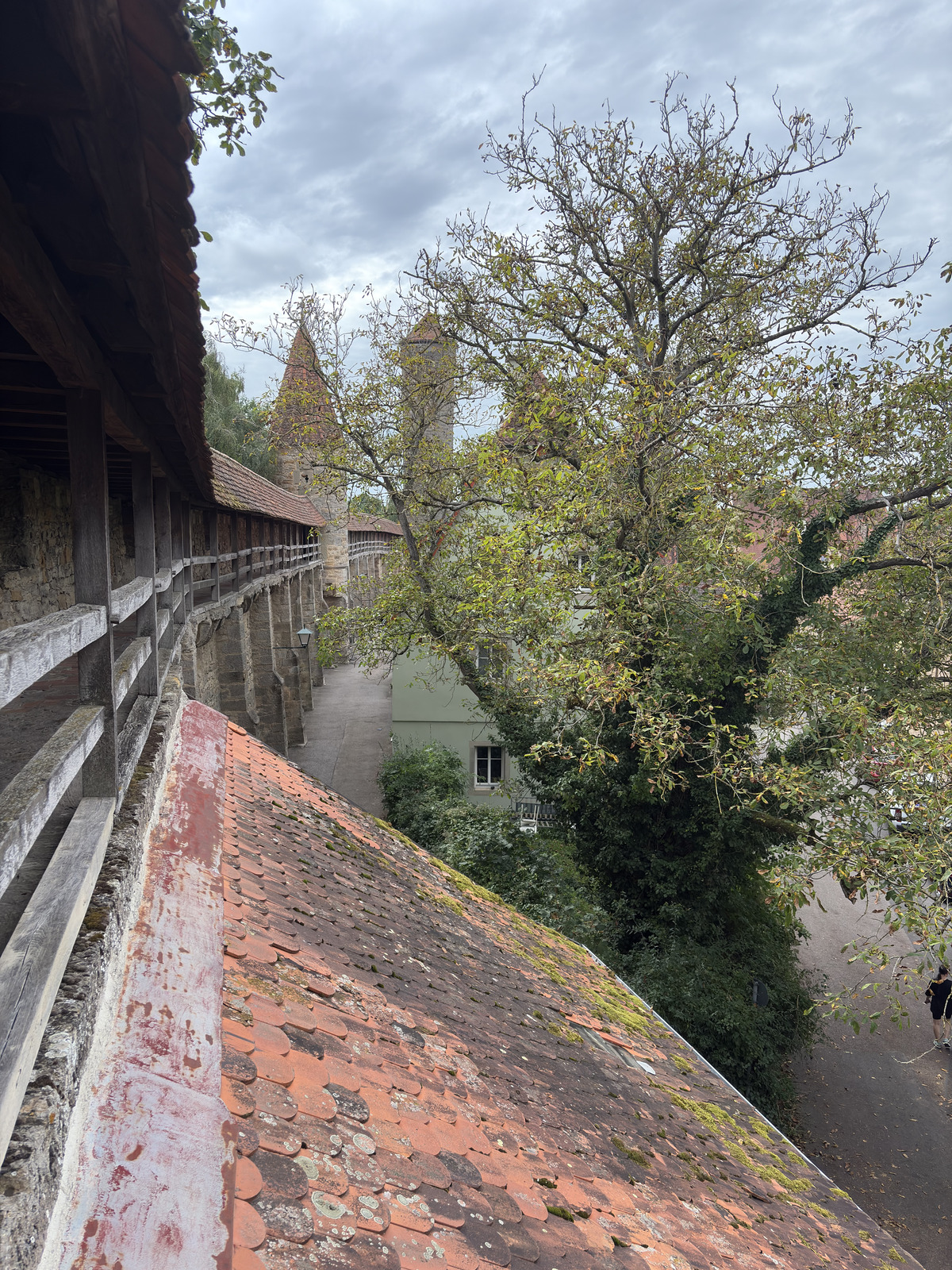 Picture Germany Rothenburg ob der Tauber⁩ 2025-09 202 - Photographer Rothenburg ob der Tauber⁩
