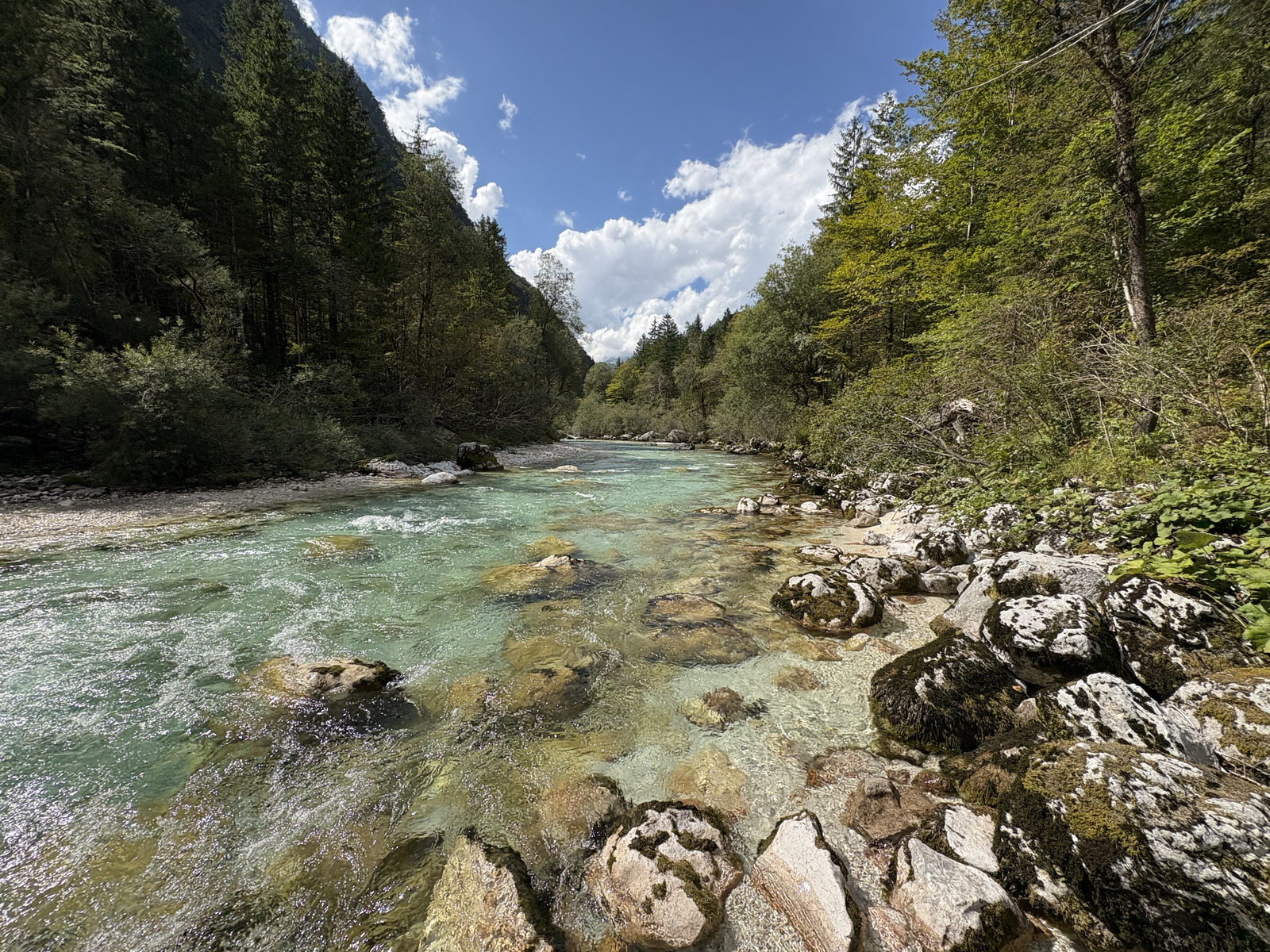 Picture Slovenia Soca River 2025-09 169 - Trip Soca River