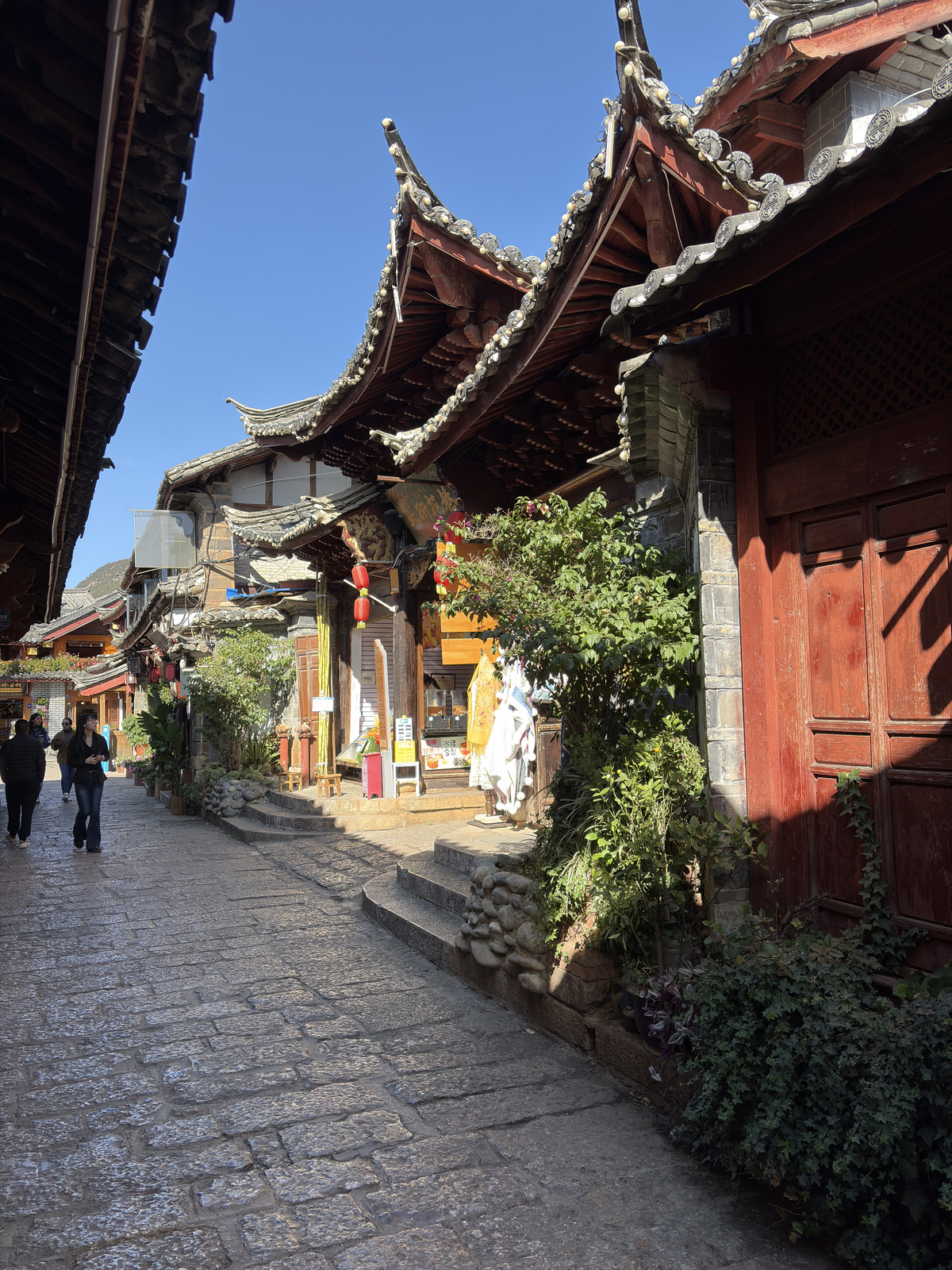 Picture China Lijiang 2026-01 633 - Trips Lijiang