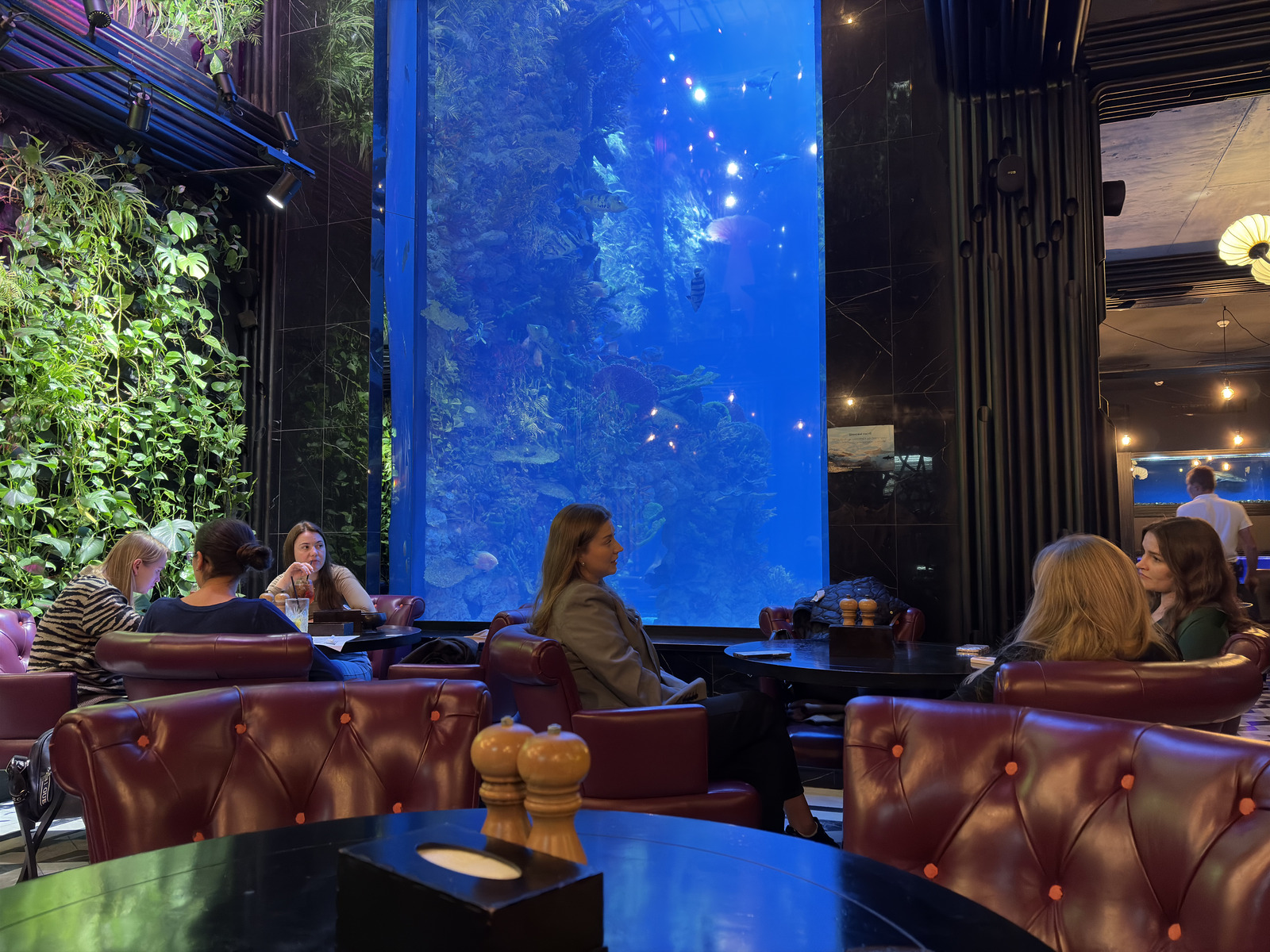 Picture Ukraine Lviv Restaurants 2024-10 140 - Photographer Restaurants