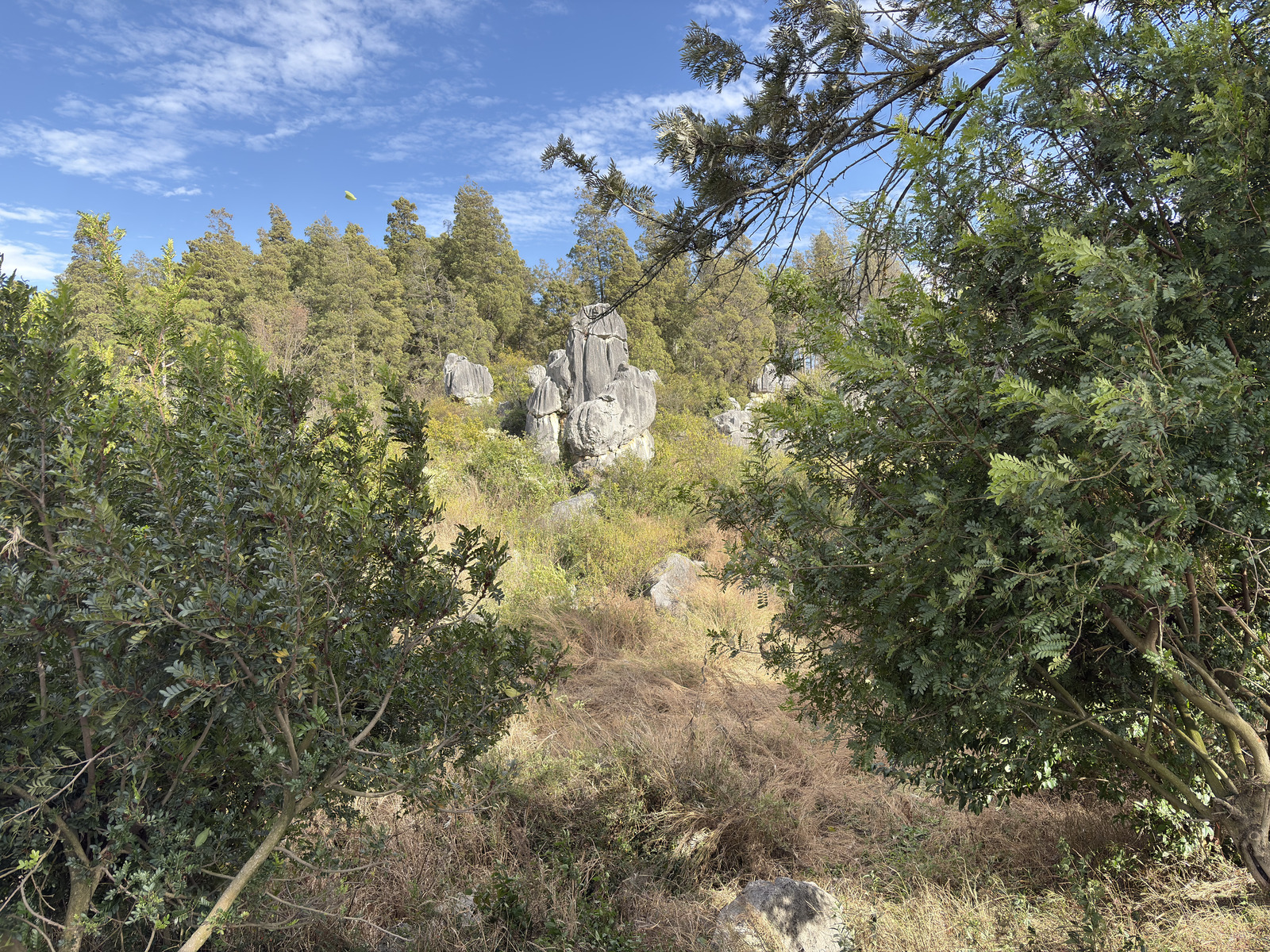 Picture China Shilin Stone Forest 2026-01 386 - Store Shilin Stone Forest
