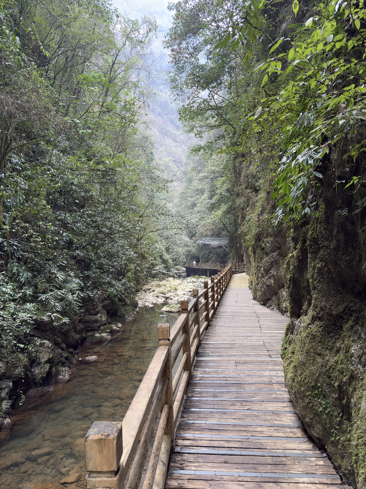 Picture China Zhangjiajie Grand Canion 2026-01 18 - Sight Grand Canion