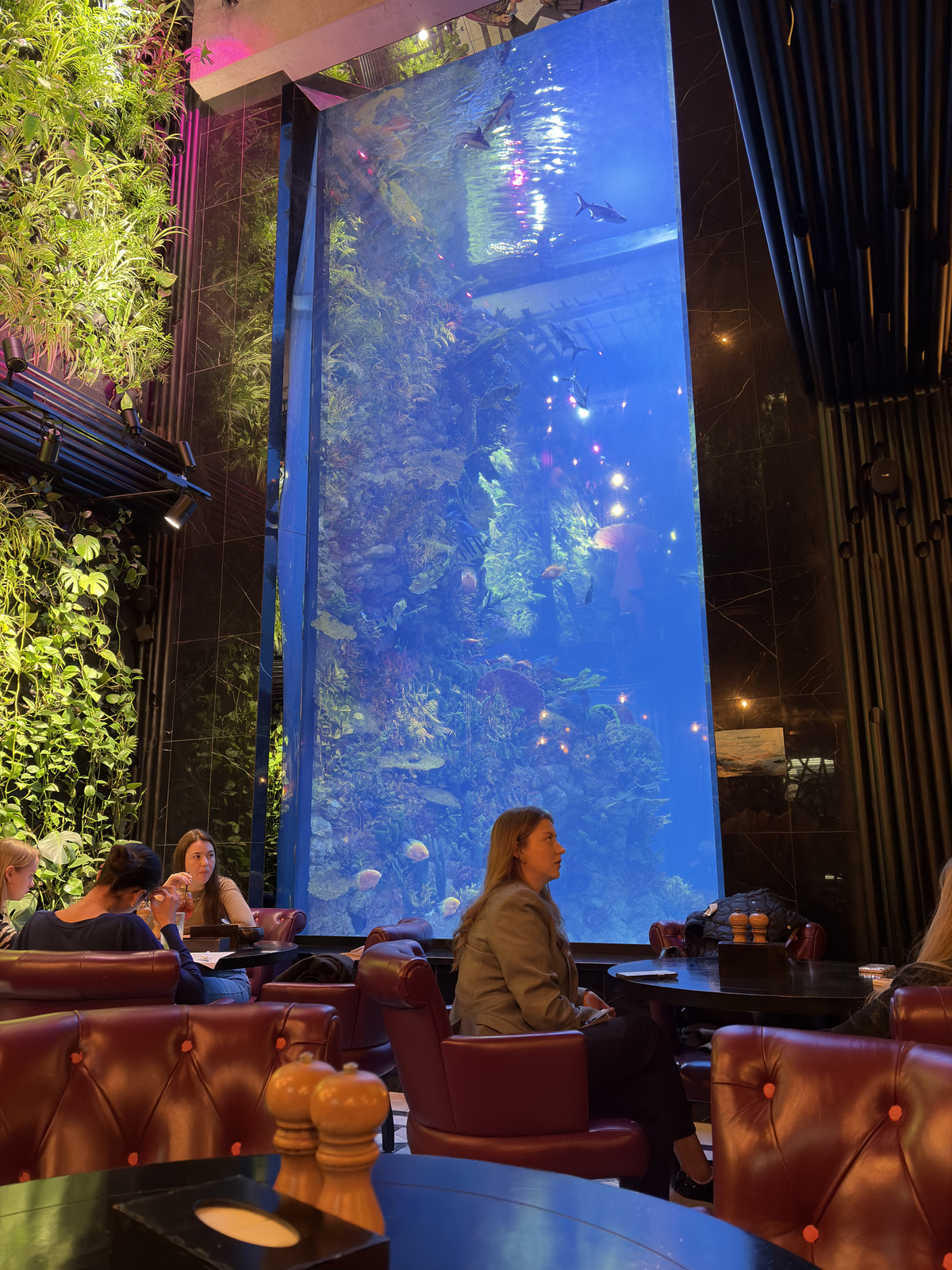 Picture Ukraine Lviv Restaurants 2024-10 81 - Trips Restaurants