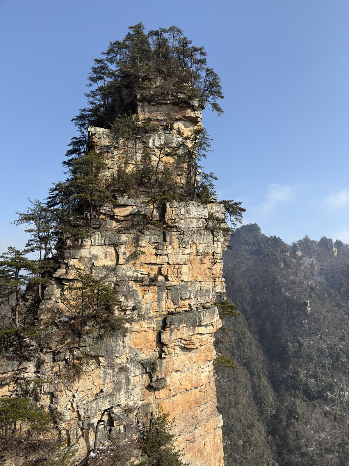 Picture China Zhangjiajie Tianzi Mountrain 2026-01 414 - Sight Tianzi Mountrain