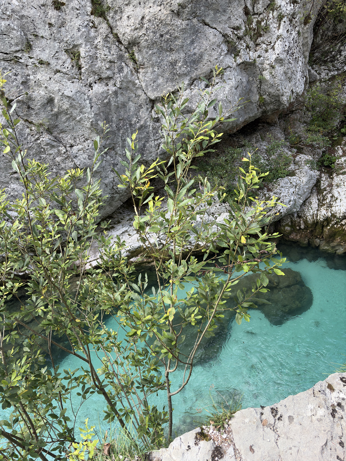 Picture Slovenia Soca River 2025-09 95 - Road Soca River