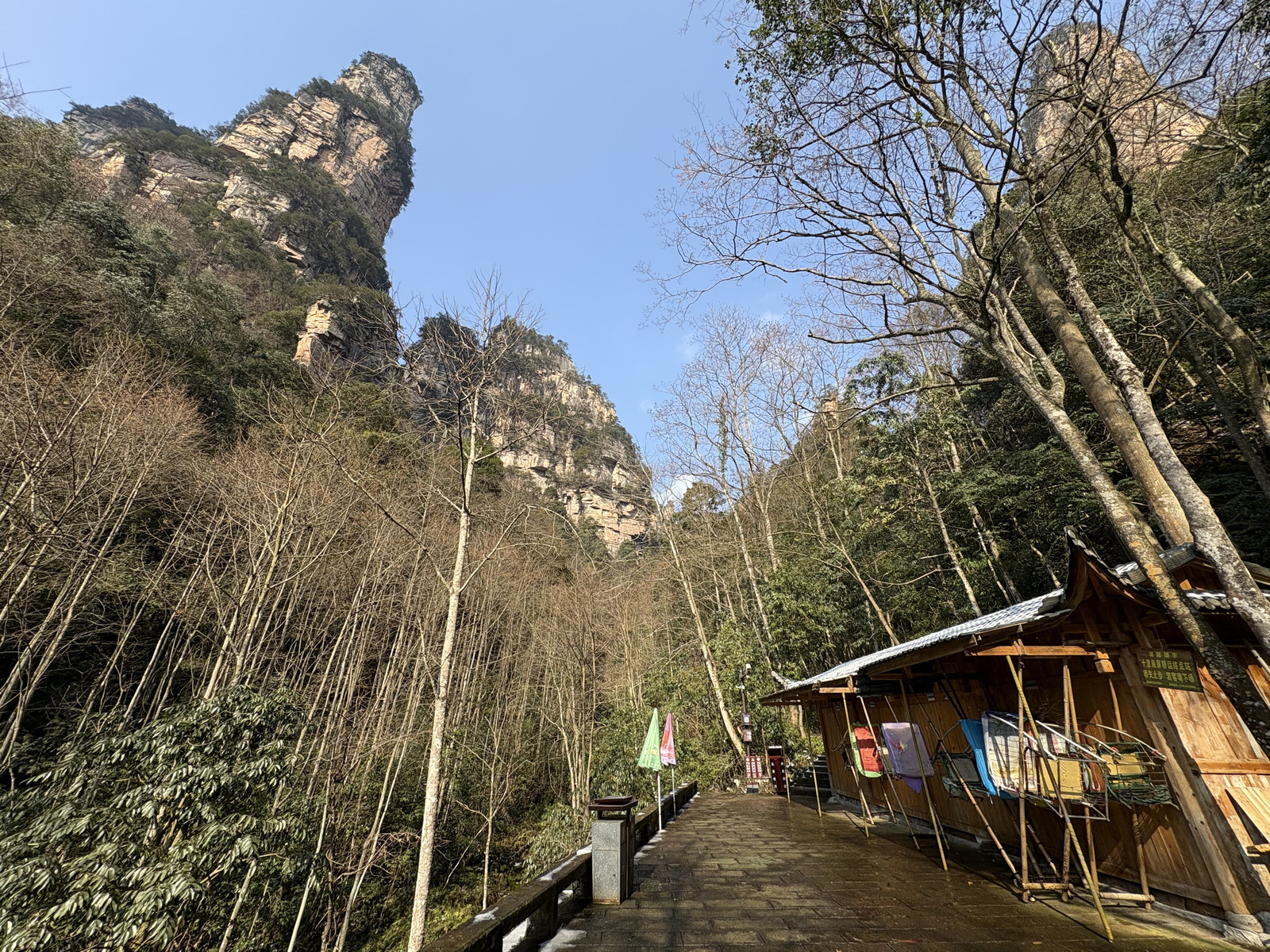Picture China Zhangjiajie Tianzi Mountrain 2026-01 114 - Photographer Tianzi Mountrain