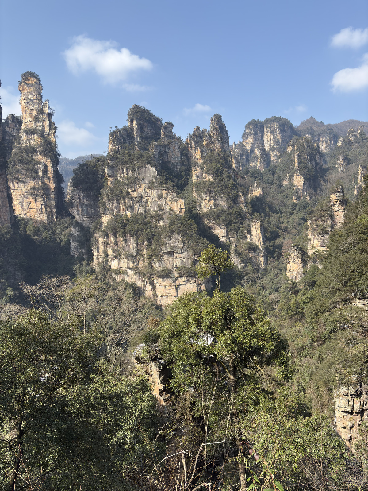 Picture China Zhangjiajie Tianzi Mountrain 2026-01 132 - Flight Tianzi Mountrain