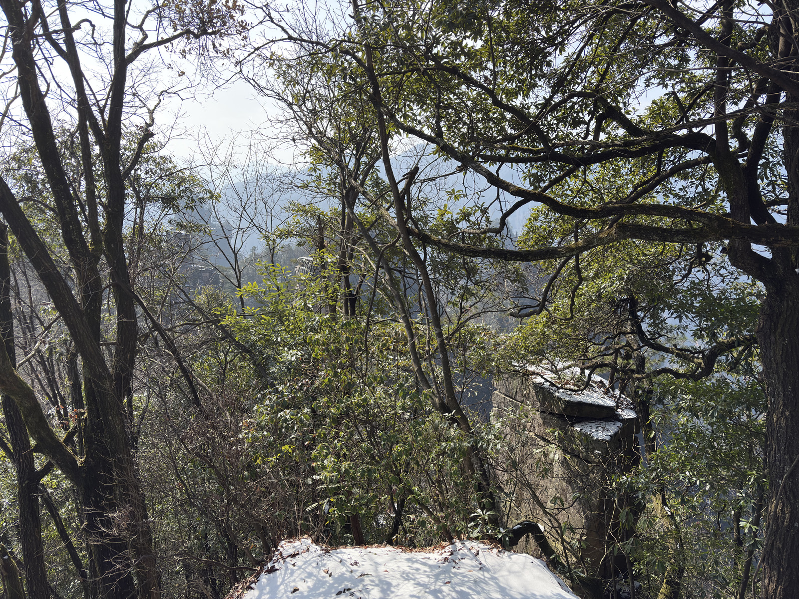 Picture China Zhangjiajie Tianzi Mountrain 2026-01 268 - Visit Tianzi Mountrain