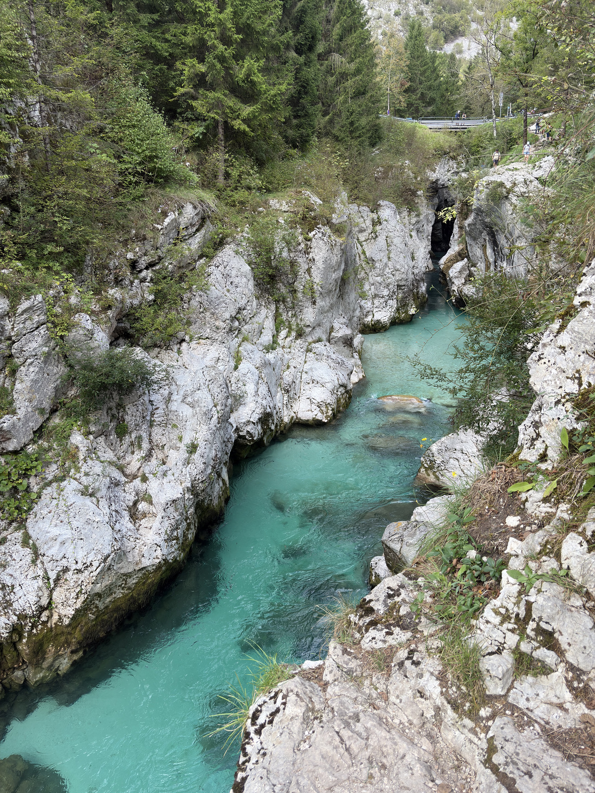 Picture Slovenia Soca River 2025-09 82 - Store Soca River