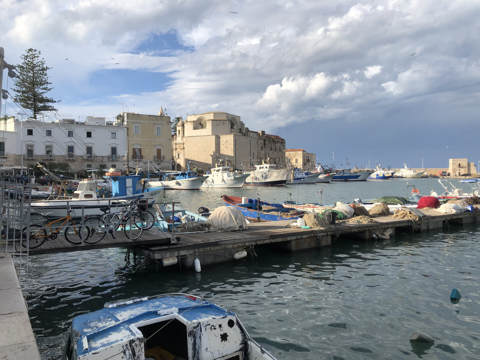 Picture Italy Trani 2024-09 19 - Pictures Trani