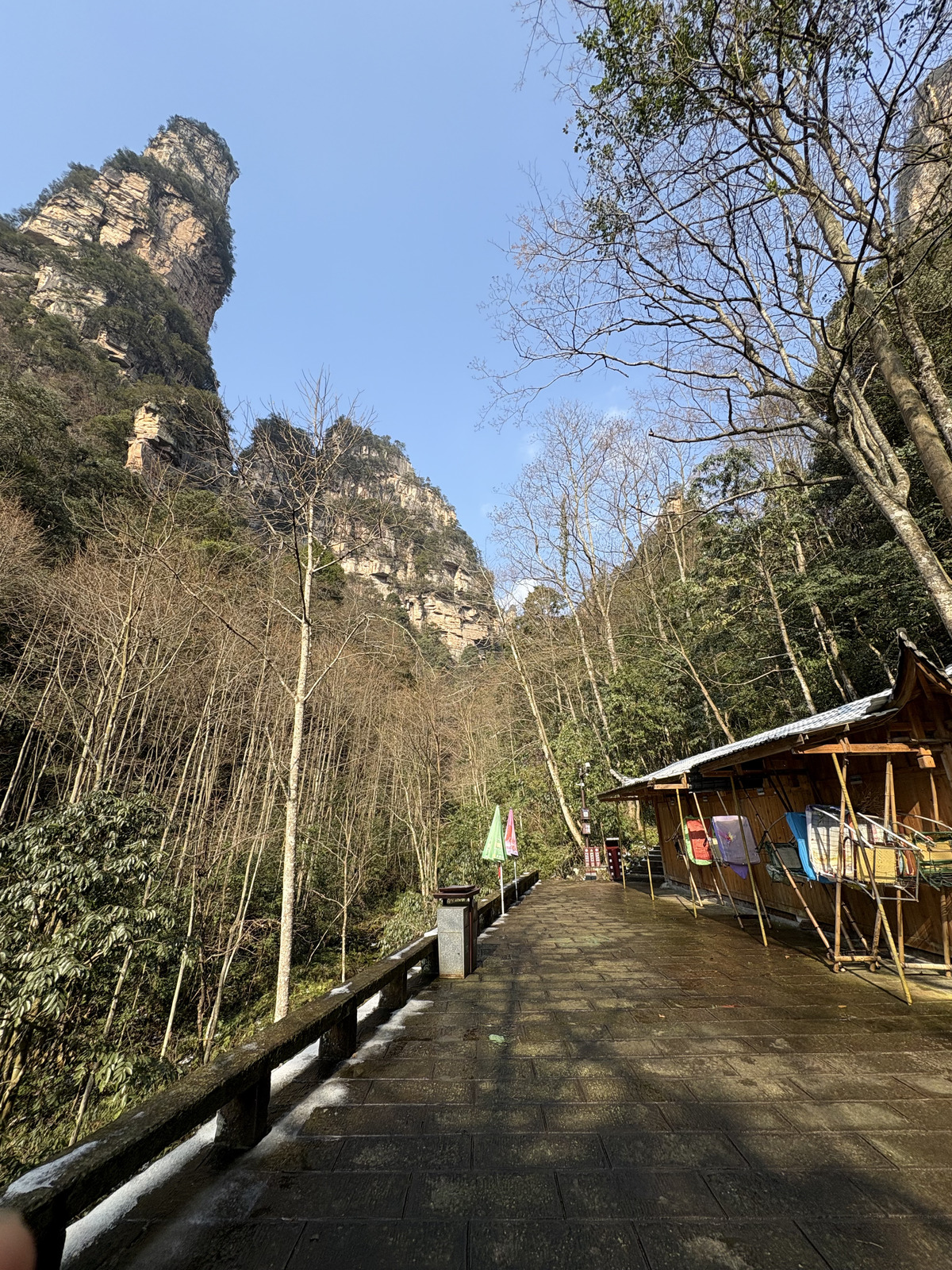 Picture China Zhangjiajie Tianzi Mountrain 2026-01 80 - Road Tianzi Mountrain