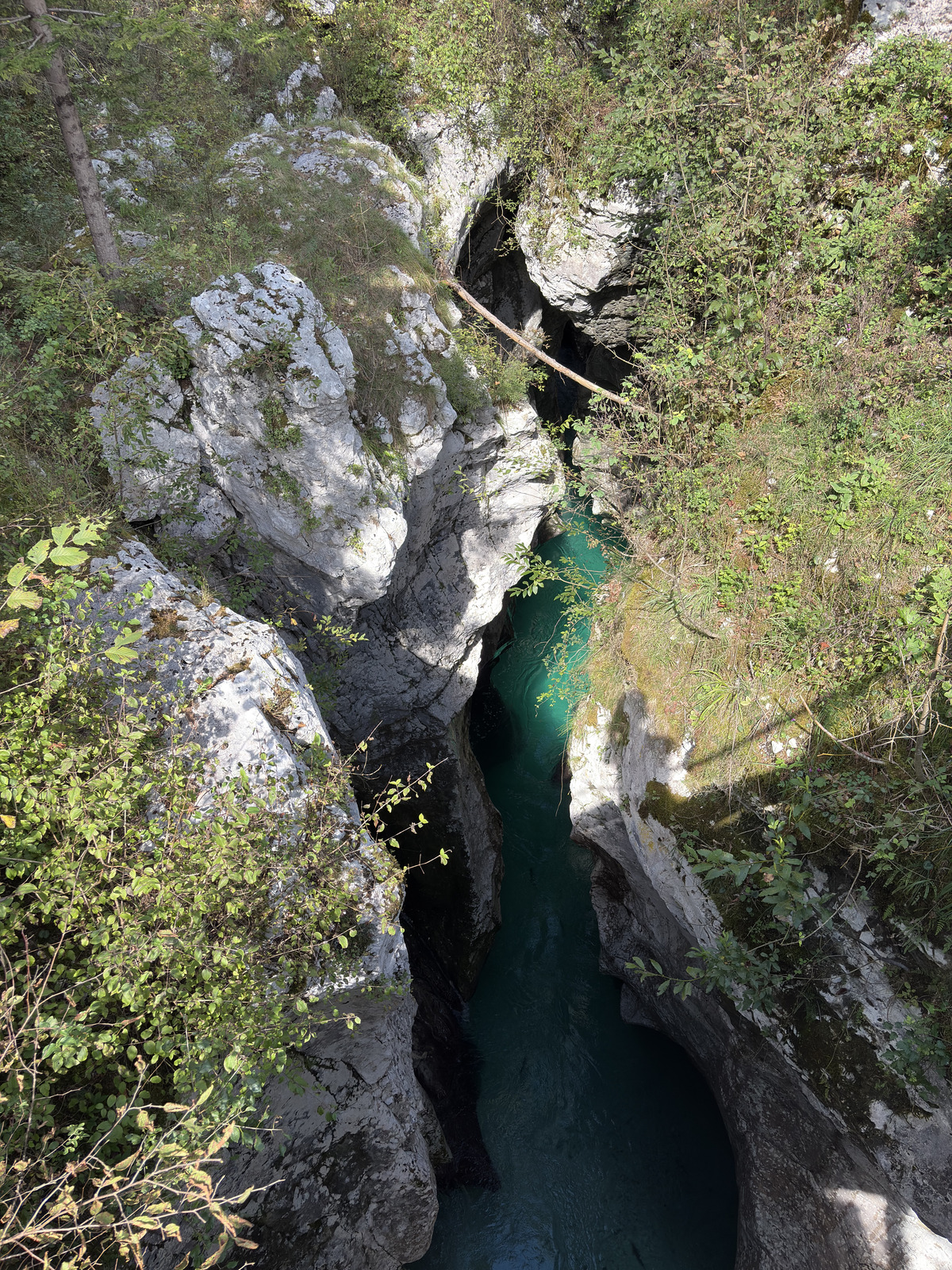 Picture Slovenia Soca River 2025-09 33 - Randonee Soca River