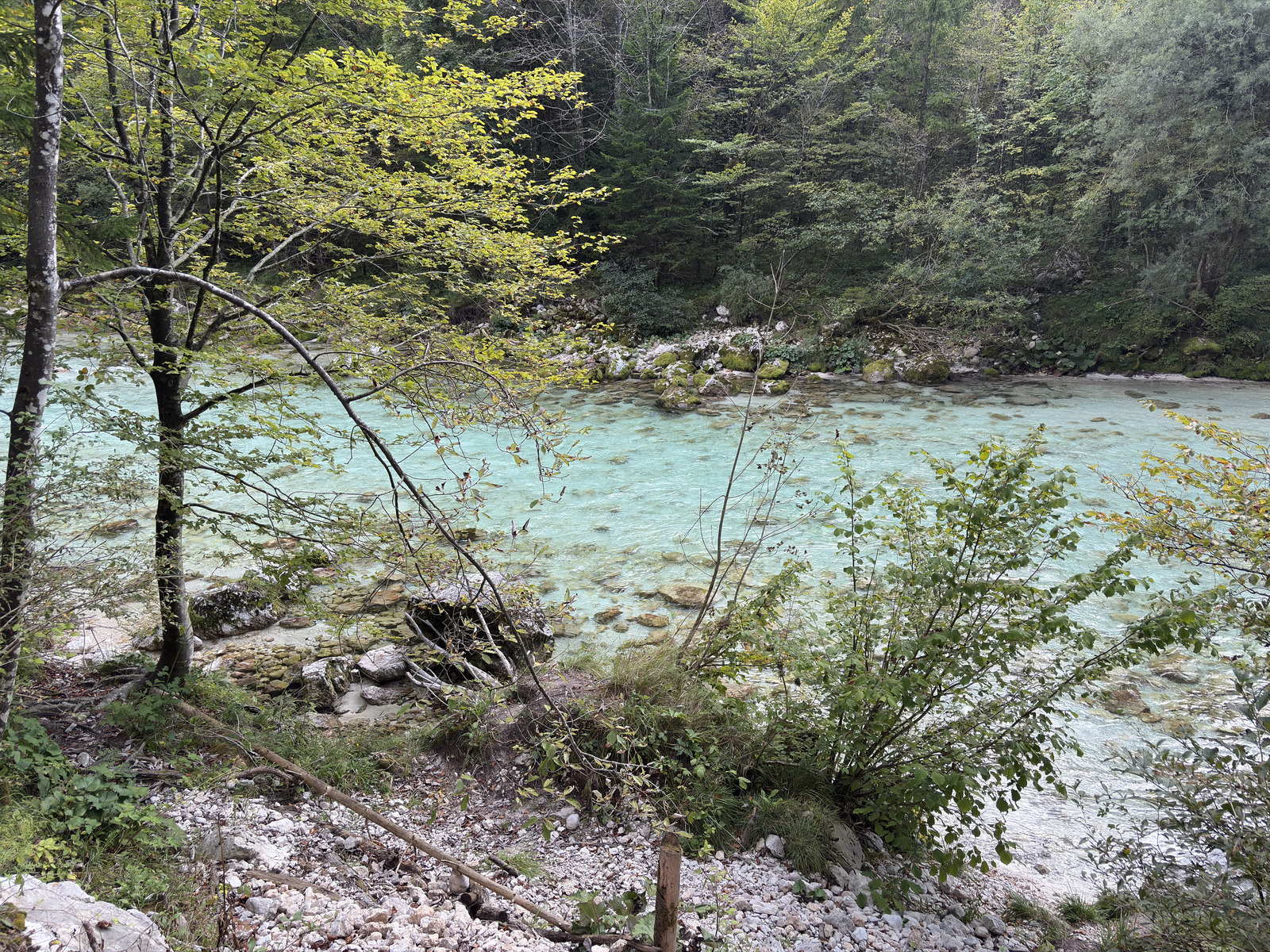 Picture Slovenia Soca River 2025-09 81 - Trips Soca River
