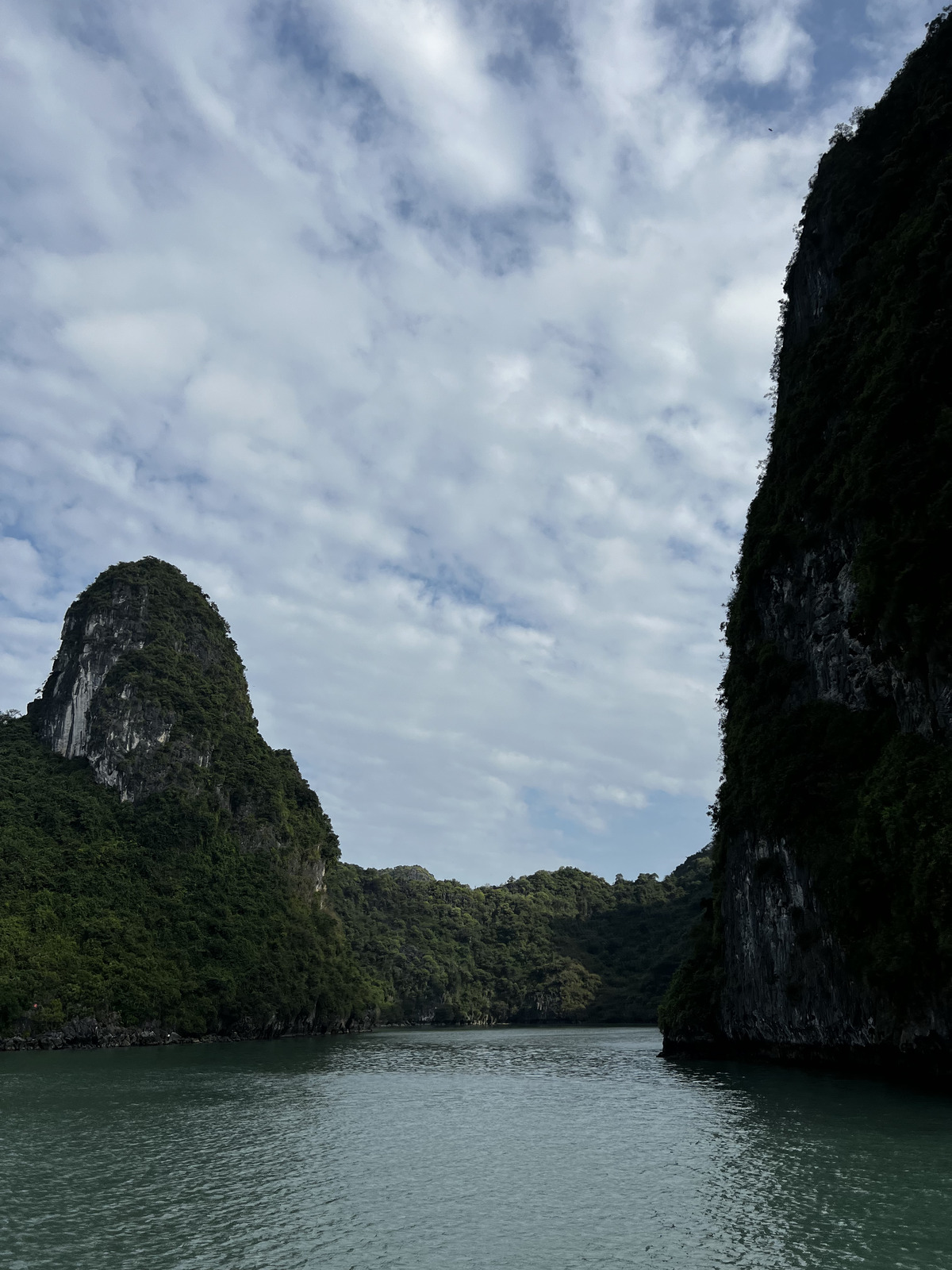 Picture Vietnam Ha Long Bay 2024-01 161 - Discover Ha Long Bay