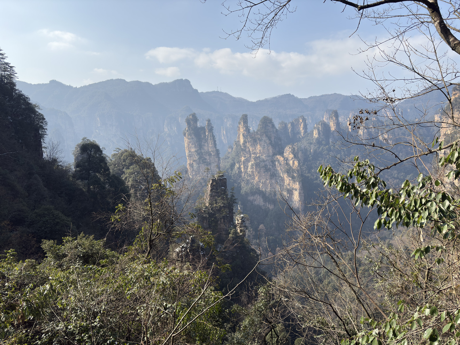 Picture China Zhangjiajie Tianzi Mountrain 2026-01 265 - Pictures Tianzi Mountrain