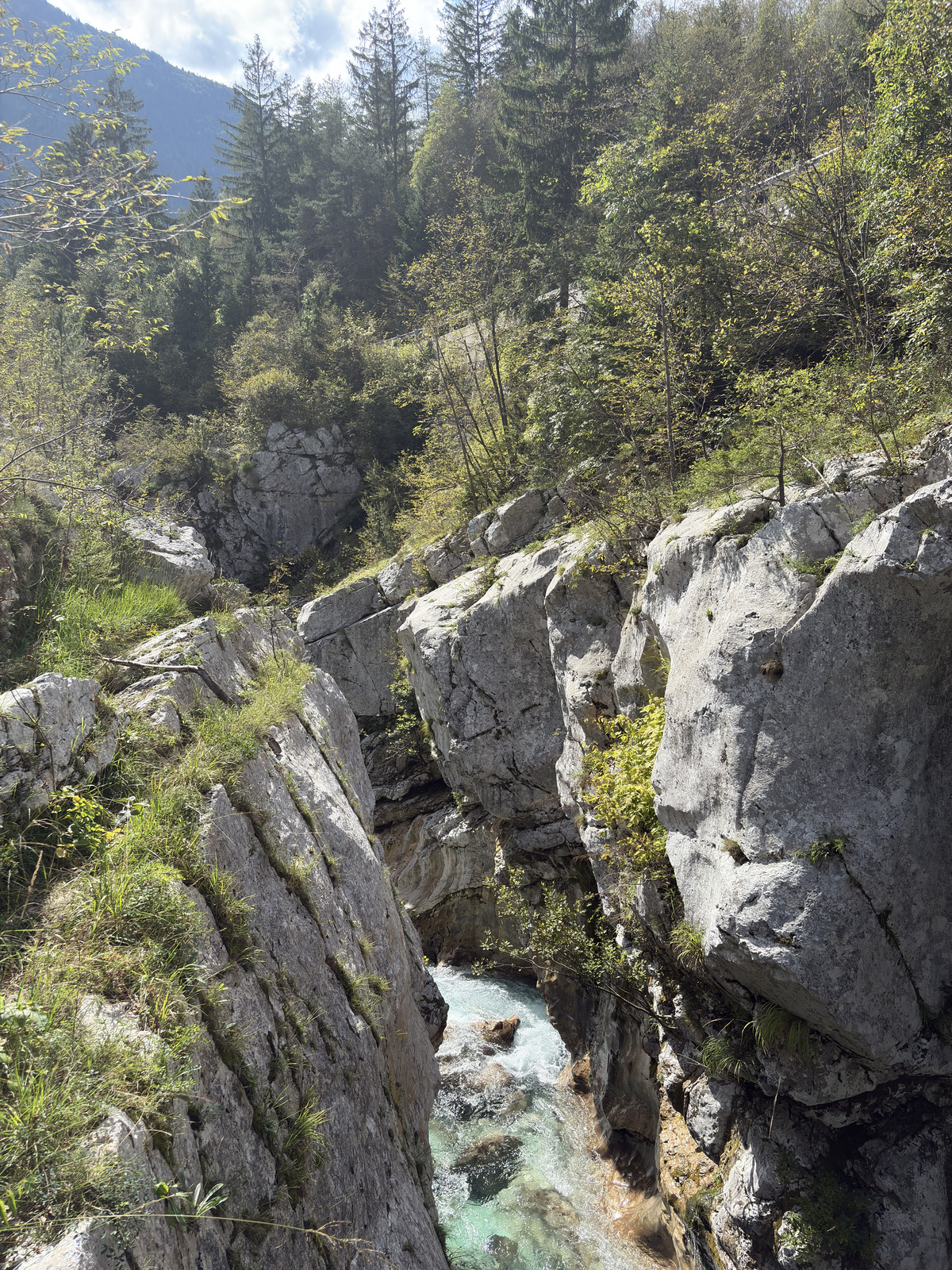 Picture Slovenia Soca River 2025-09 49 - Views Soca River