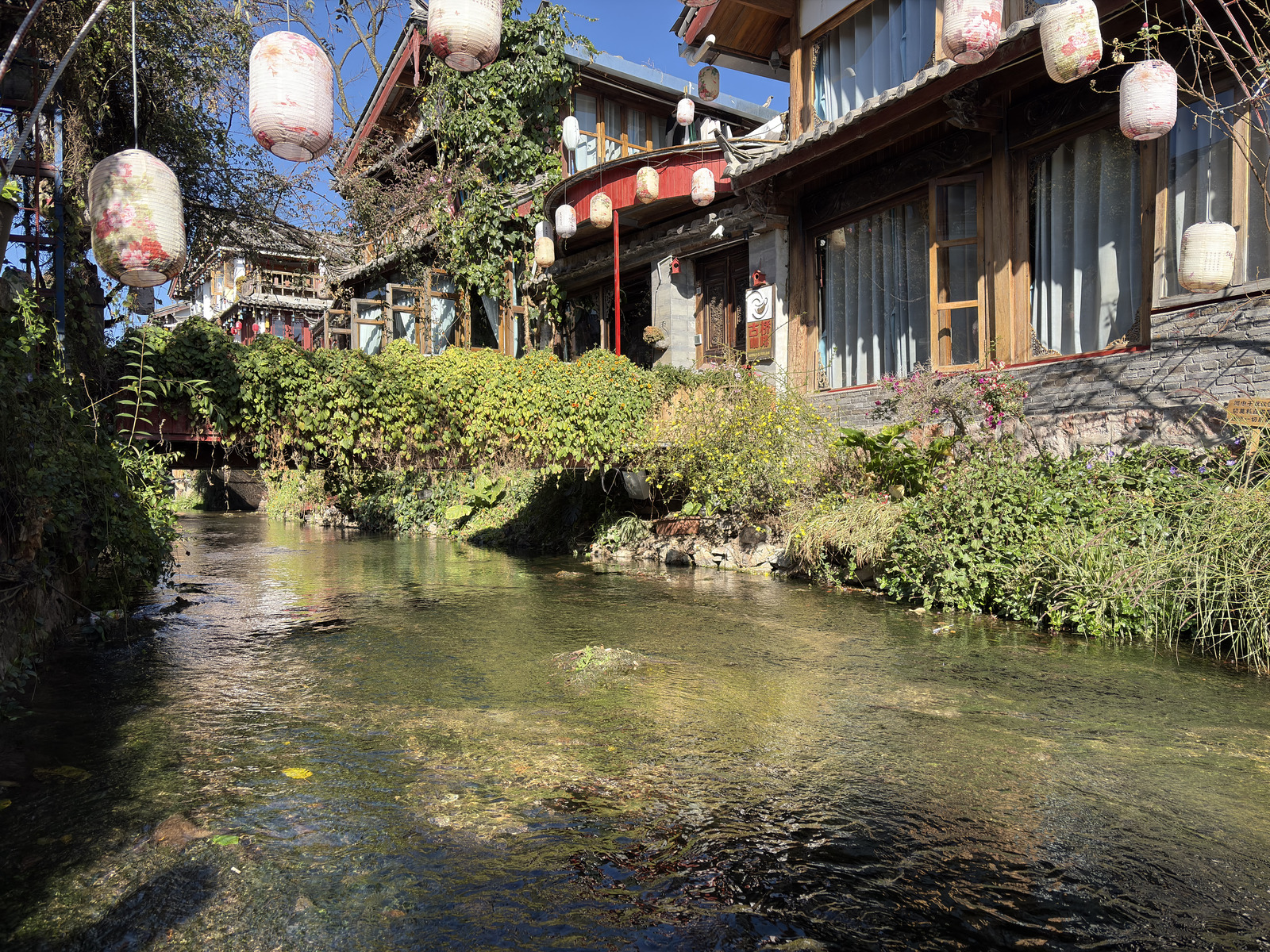Picture China Lijiang 2026-01 866 - Discover Lijiang