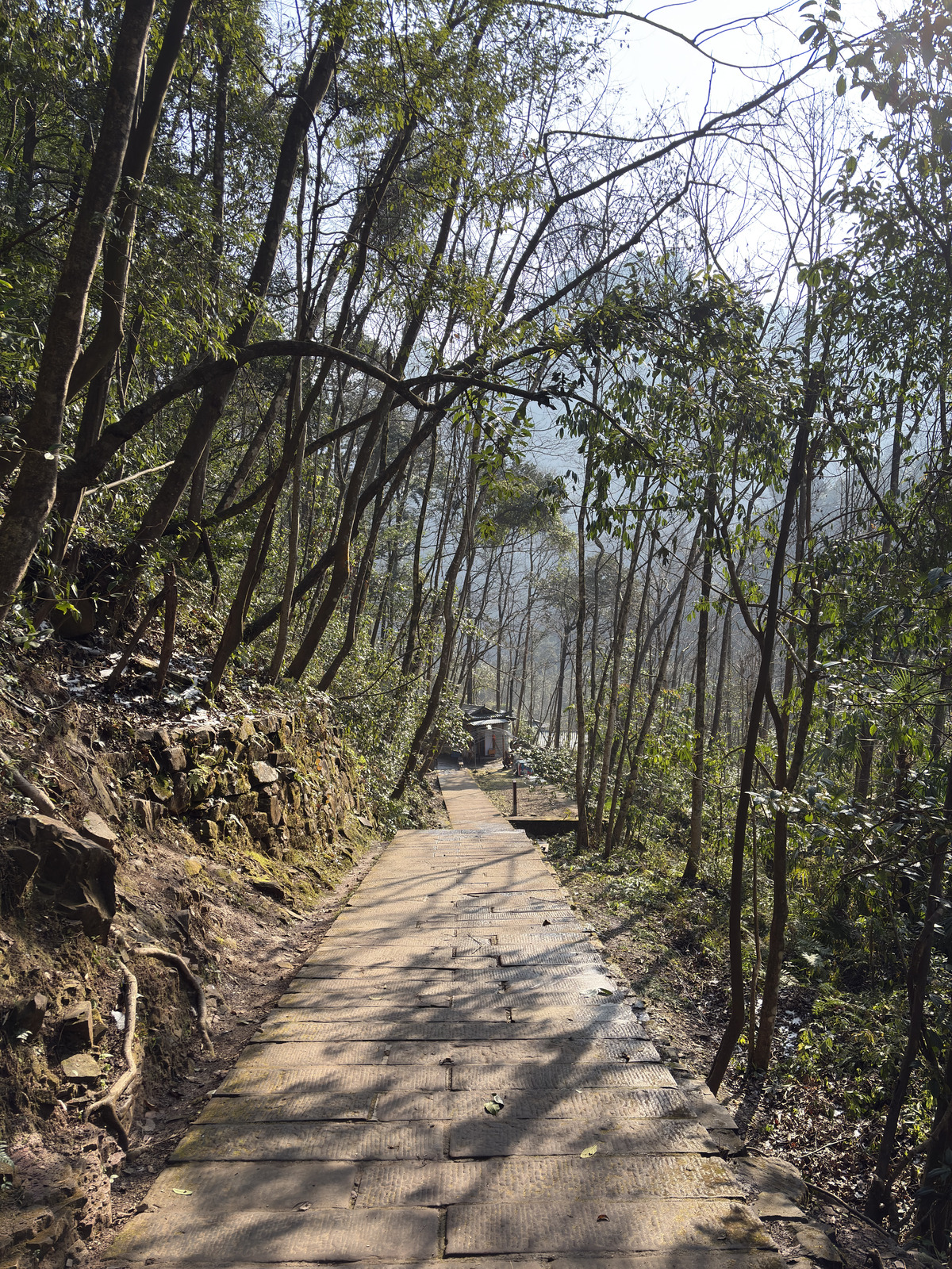 Picture China Zhangjiajie Tianzi Mountrain 2026-01 4 - Picture Tianzi Mountrain